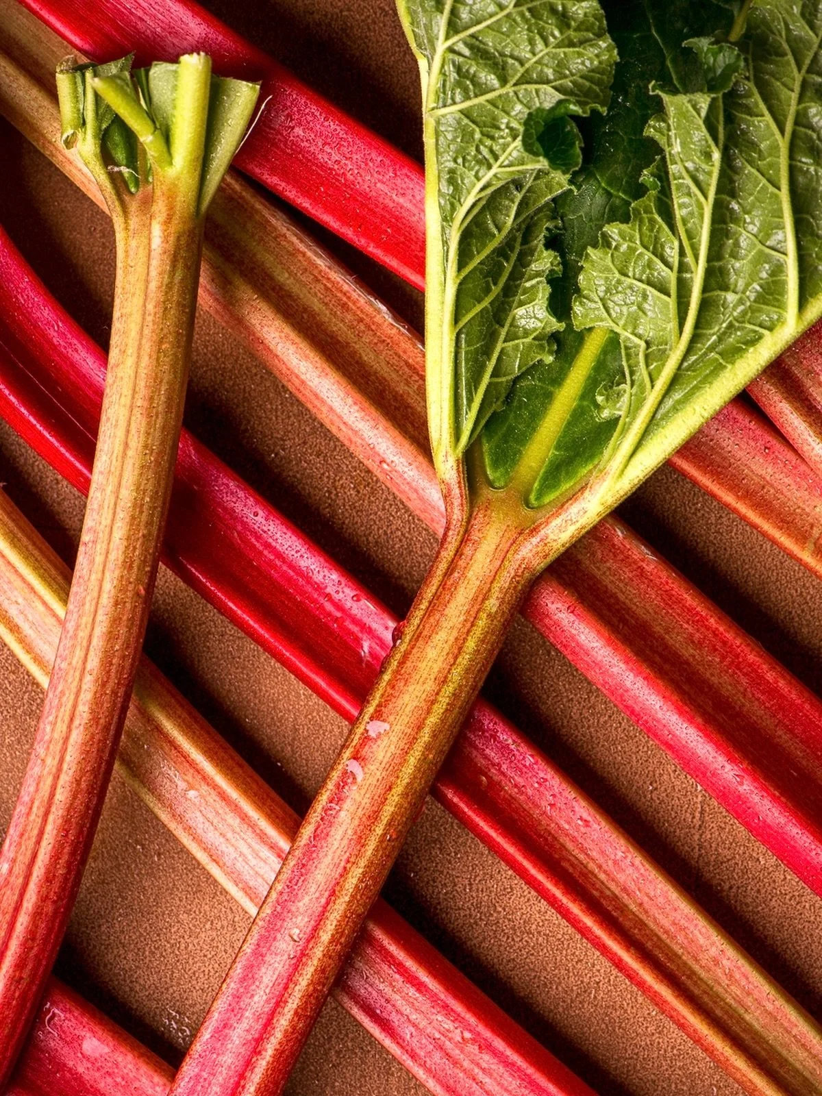 Definitely a rhubarb season this year! I haven&rsquo;t had a chance to bake with it yet, but my freezer is full of chopped rhubarb ready for some ideas. Usually do a rhubarb and strawberry bar, or pie. What is your favourite recipe? 

#mushroomsandth