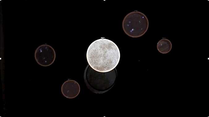 moon.gif
