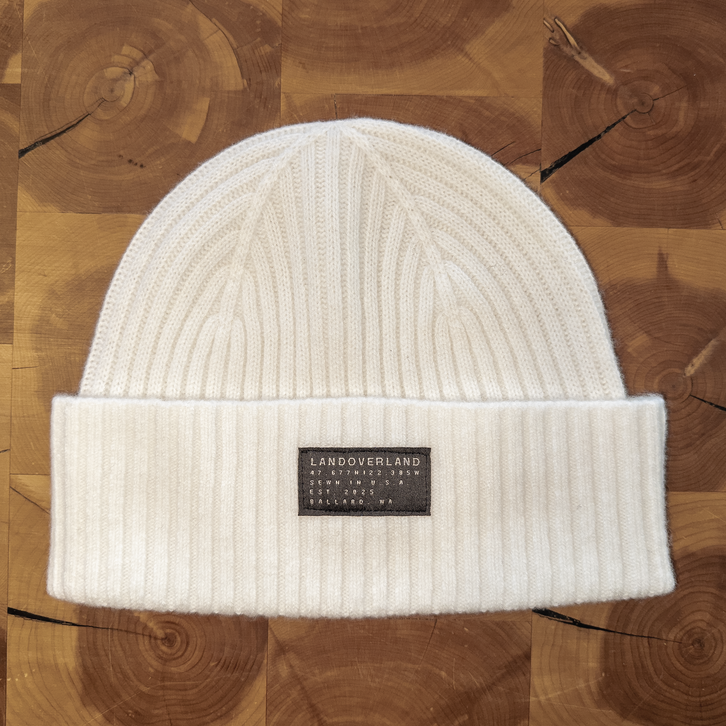 Beanie Bone.png (Copy) (Copy)