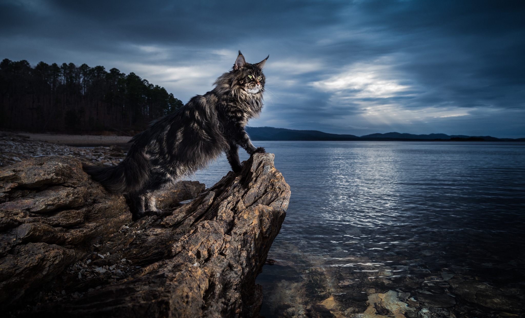Ouachita_2048px.jpeg