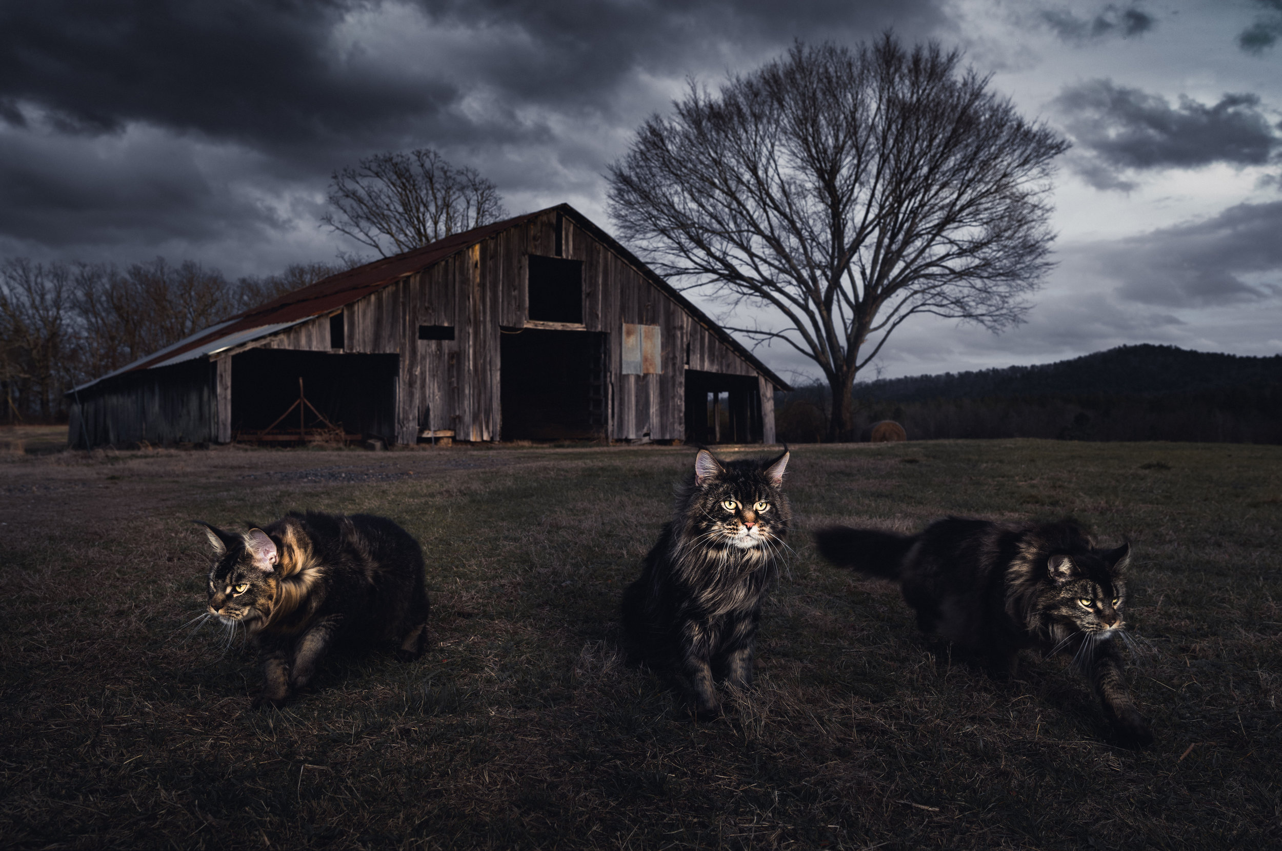 Barn.jpeg
