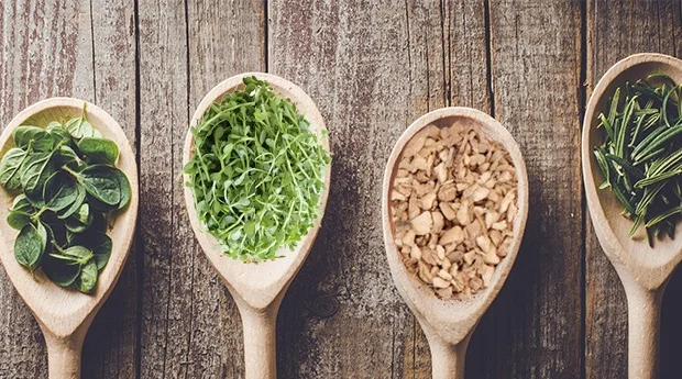 herb-spice-healthy.jpg