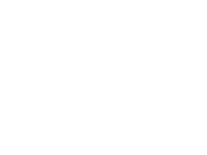 nYT.png