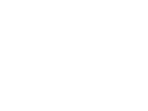 Stanford+U.png