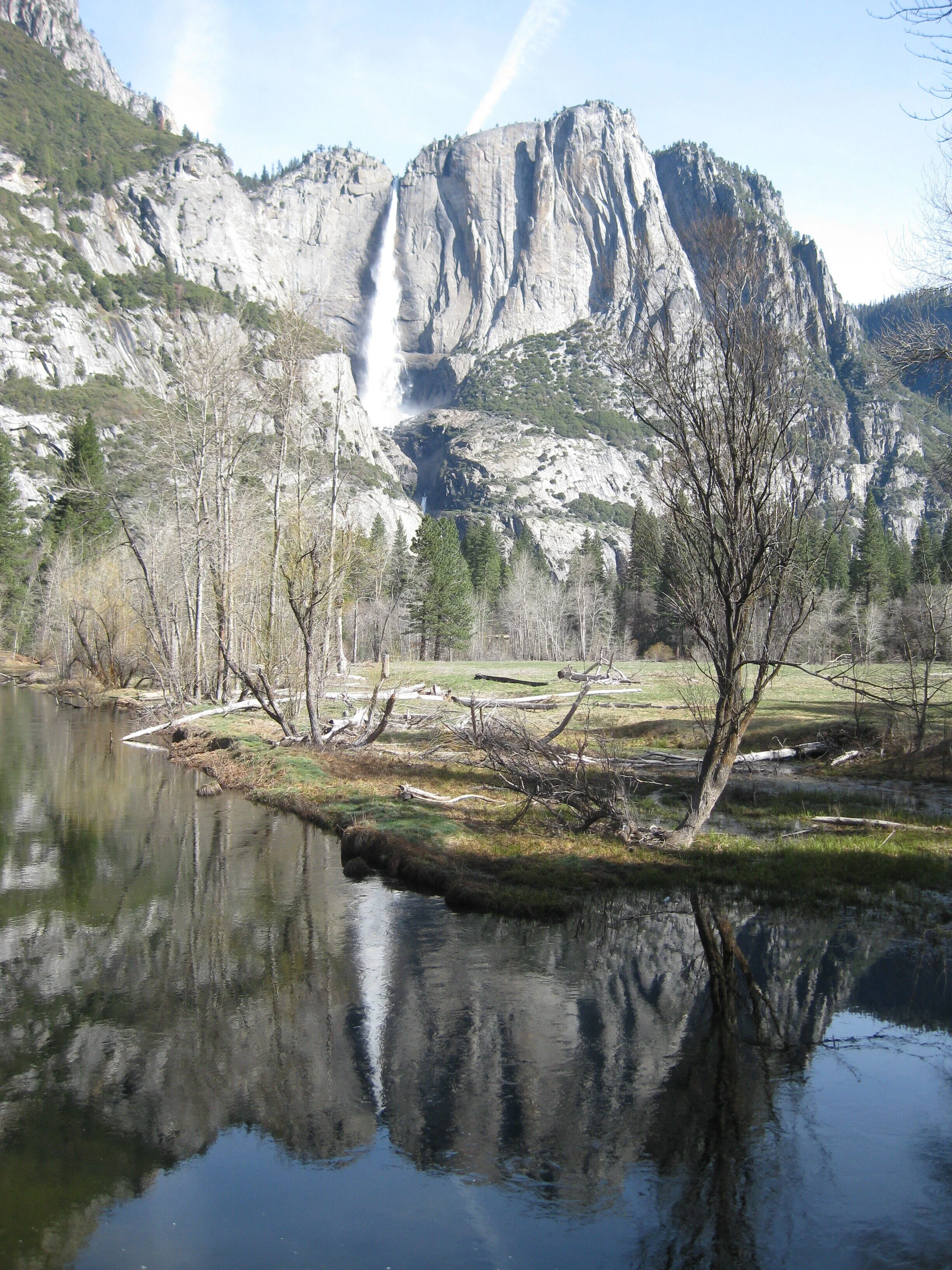 Being Asian in America