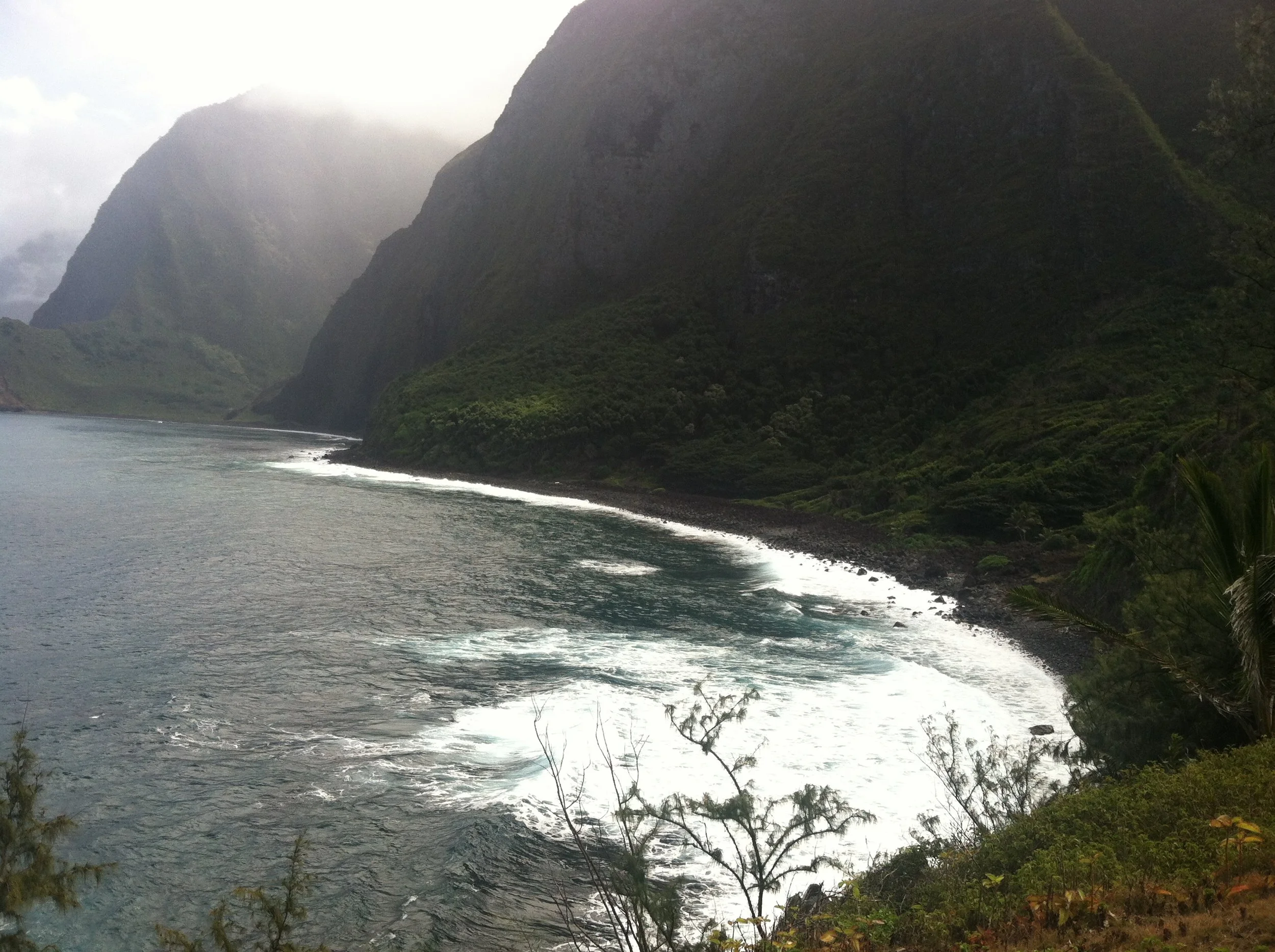 Meditation/prayer based on Col. 1:9-14;  2 Cor. 4:  8-9  