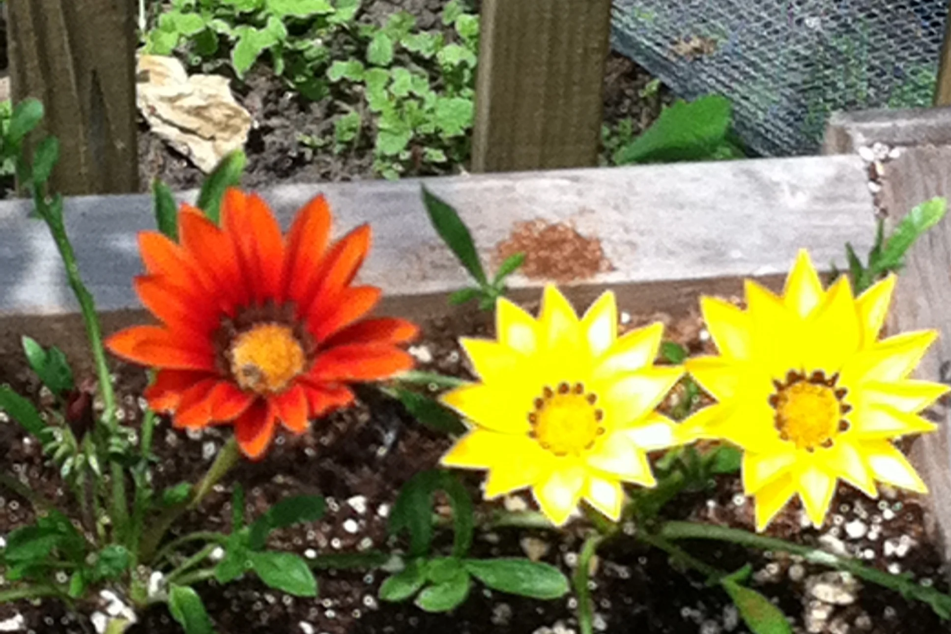 Meditation/prayer for October 14, 2018. Based on Lectionary reading Mark 10:17-31