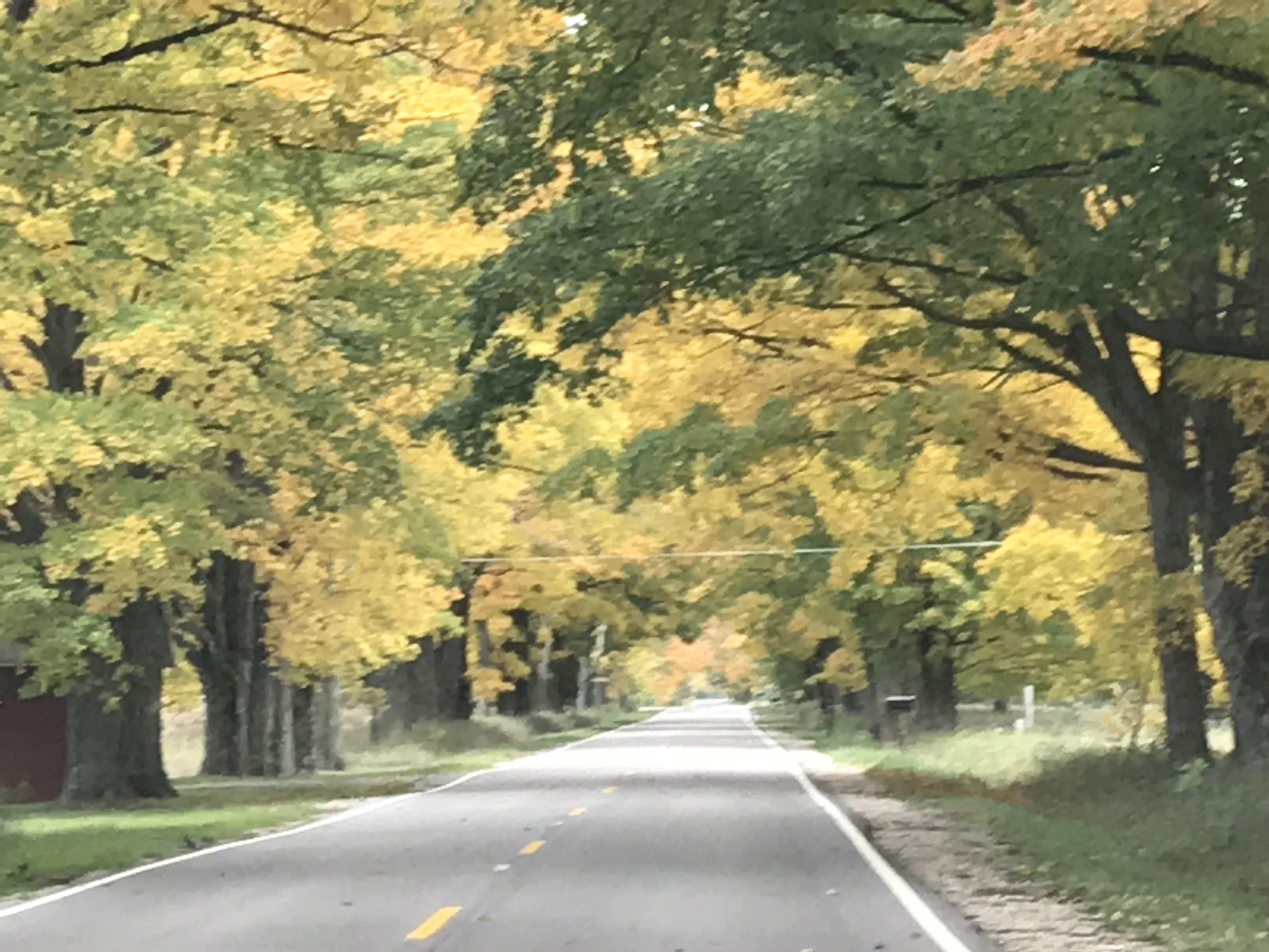 Meditation/prayer Lectionary B 23rd Sunday after Pentecost after Mk 10:46-52