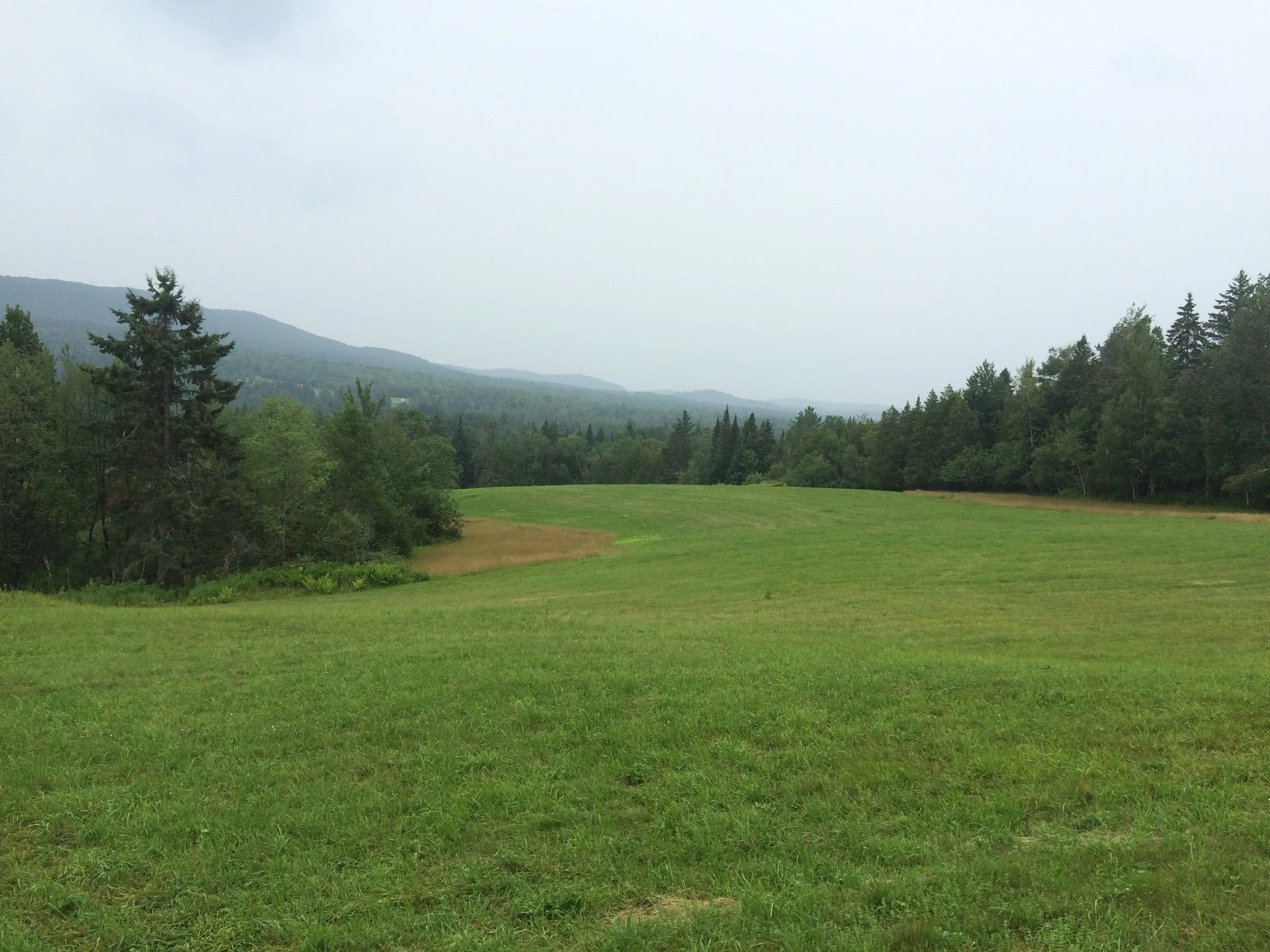 Meditation/prayer based on Luke 1:26-31