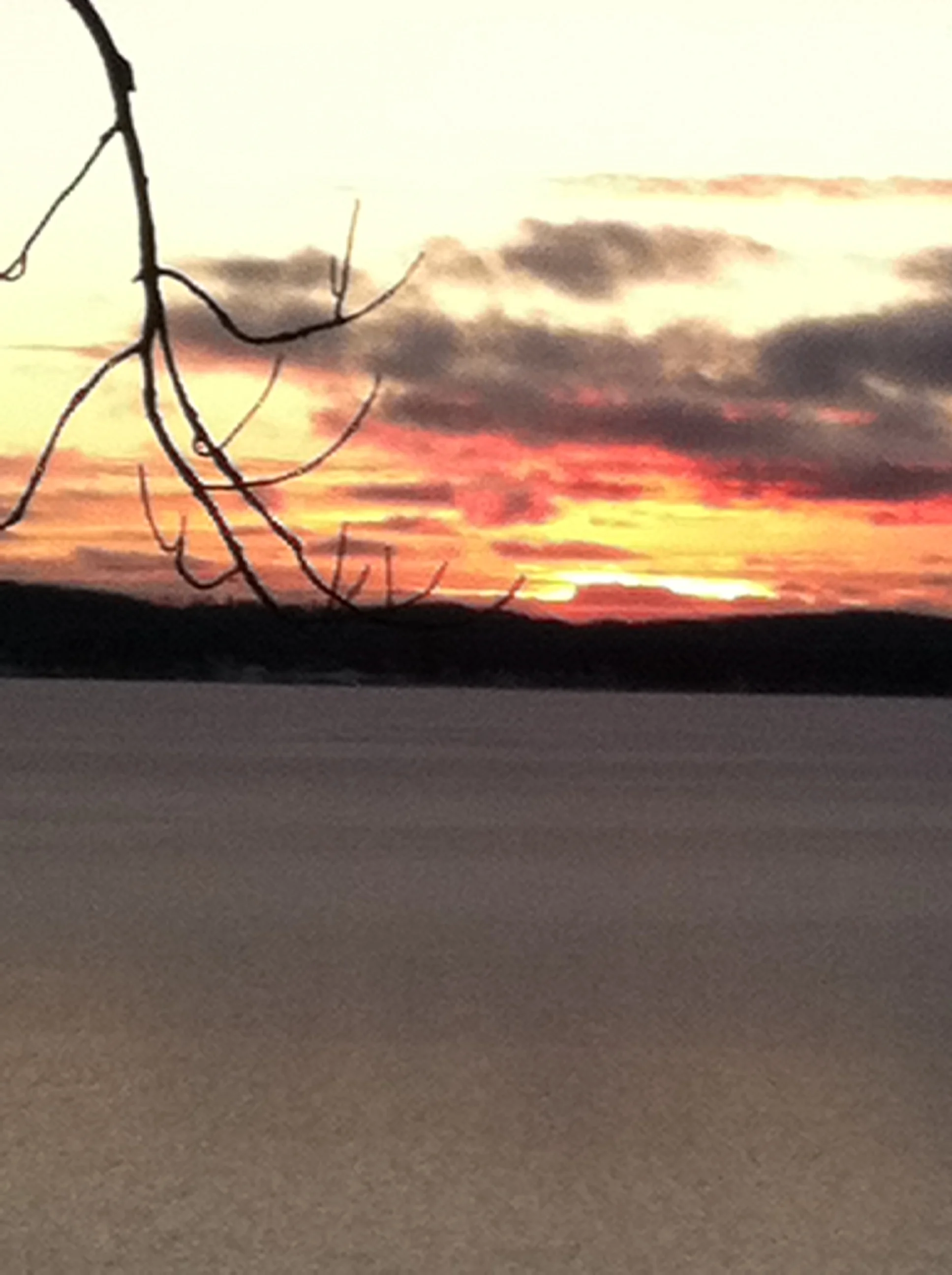 Meditation/prayer based on Lectionary reading for Palm Sunday, Luke 19: 28-40