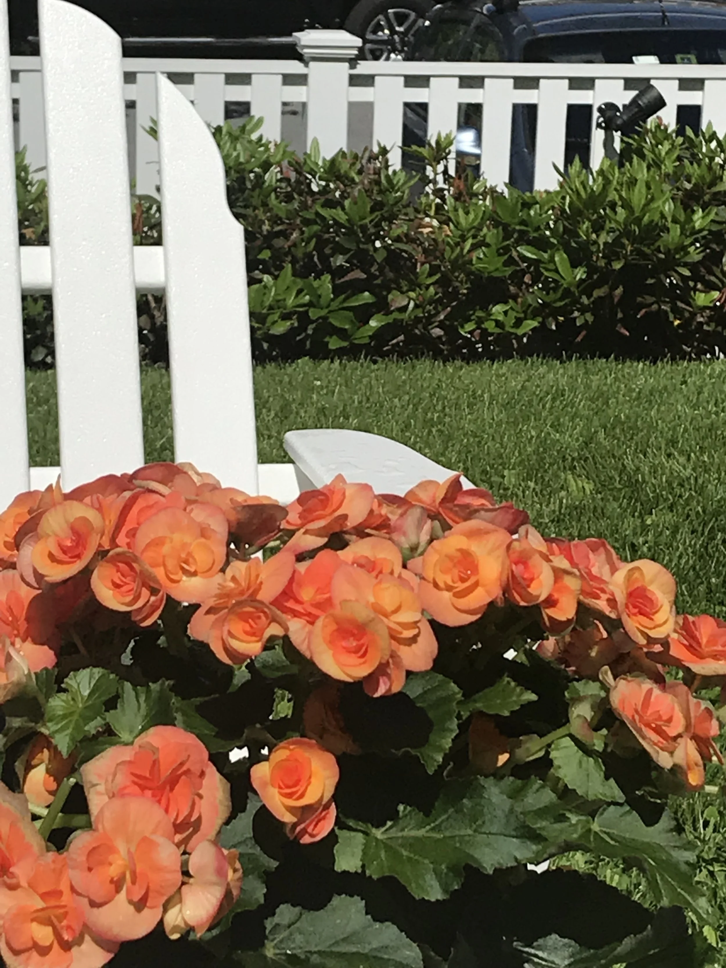 Friendship: a prayer/meditation