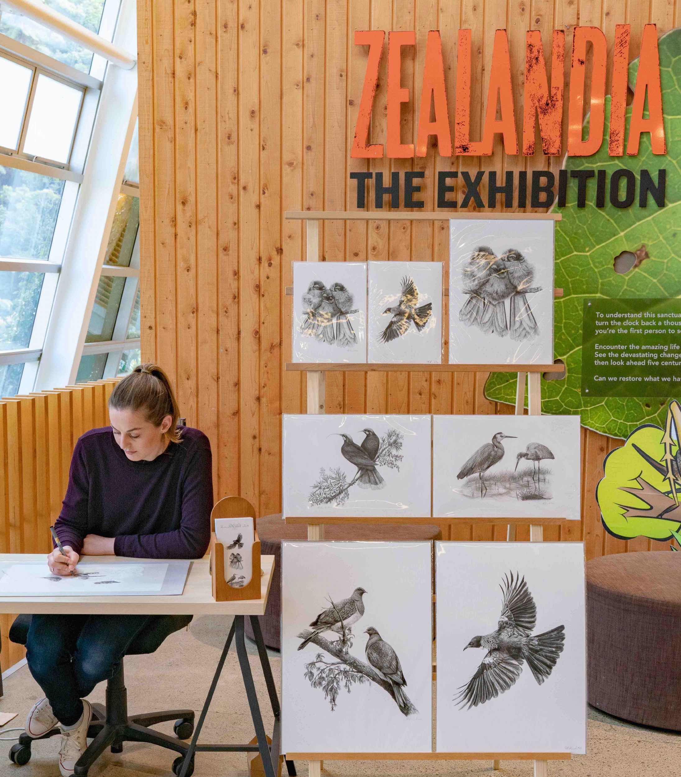 Hannah draws at Zealandia with prints on display.jpg