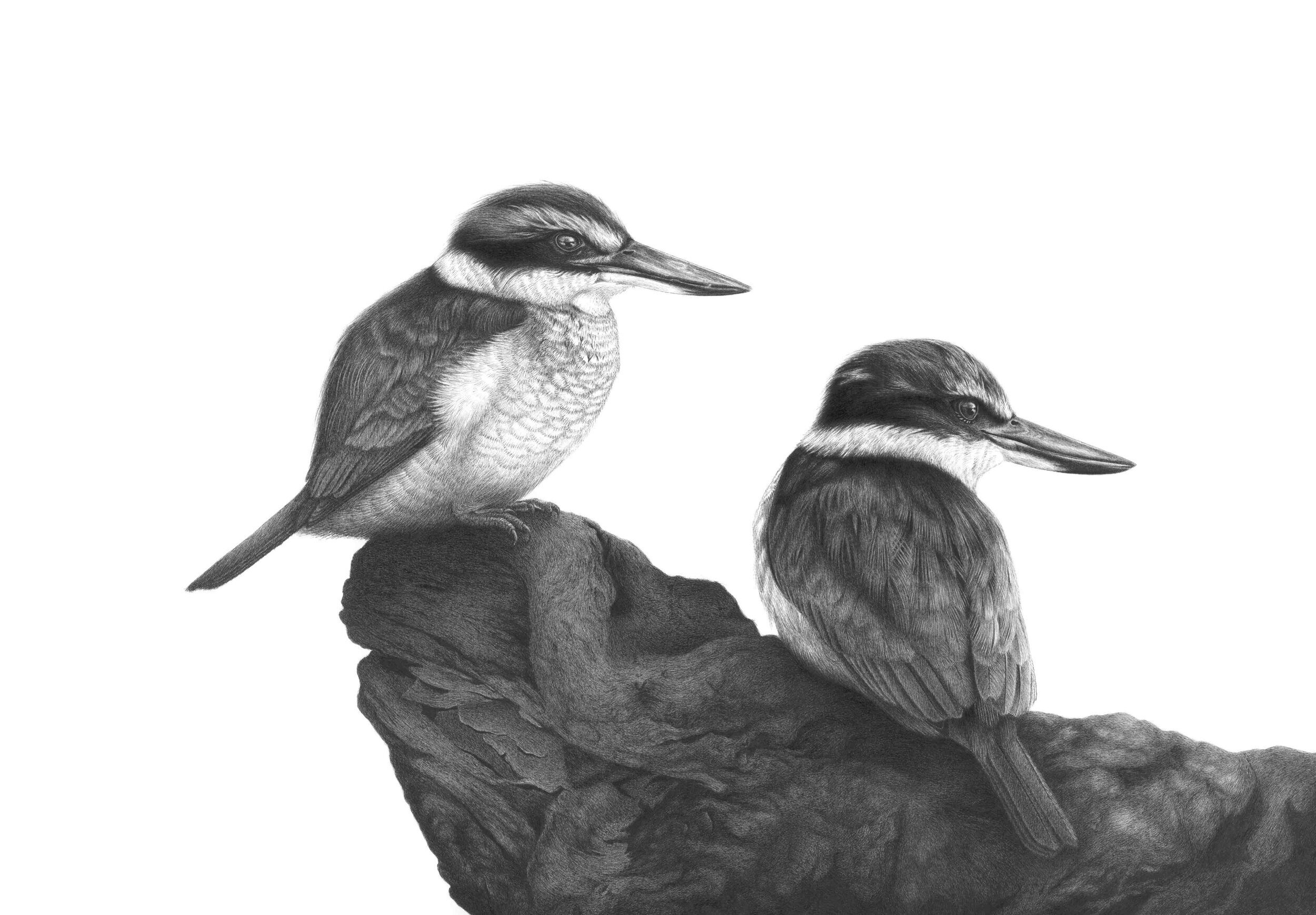 SOLD 'Kingfishers at dusk' Original (click image for prints)