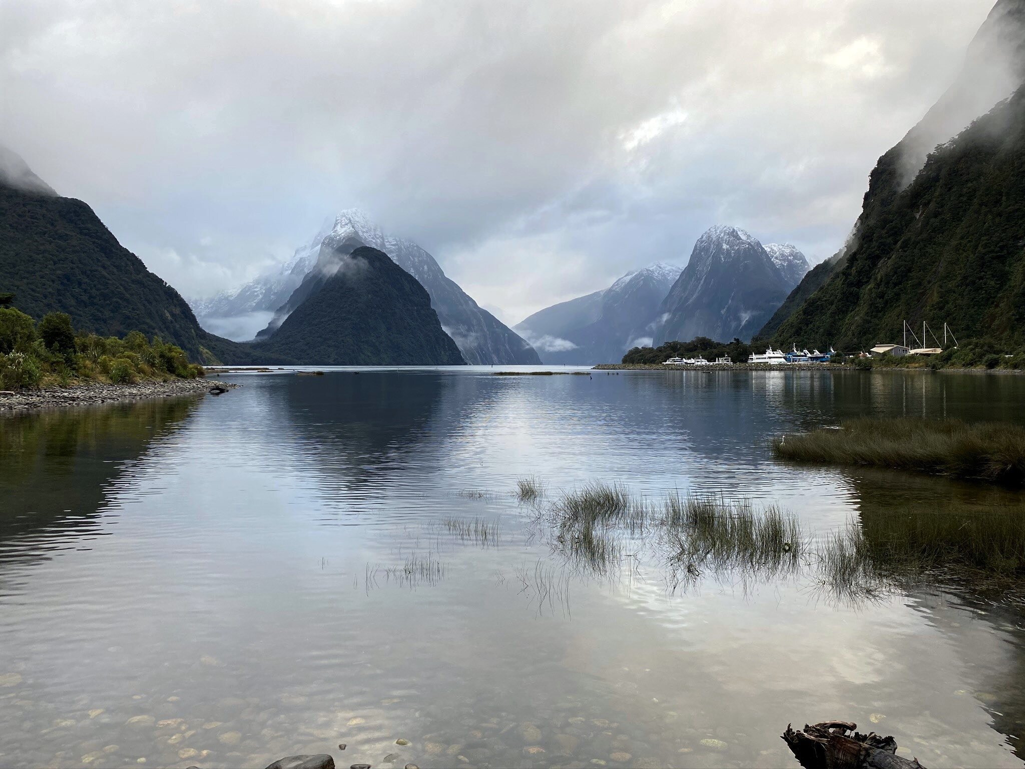 Milford Sound Inlet