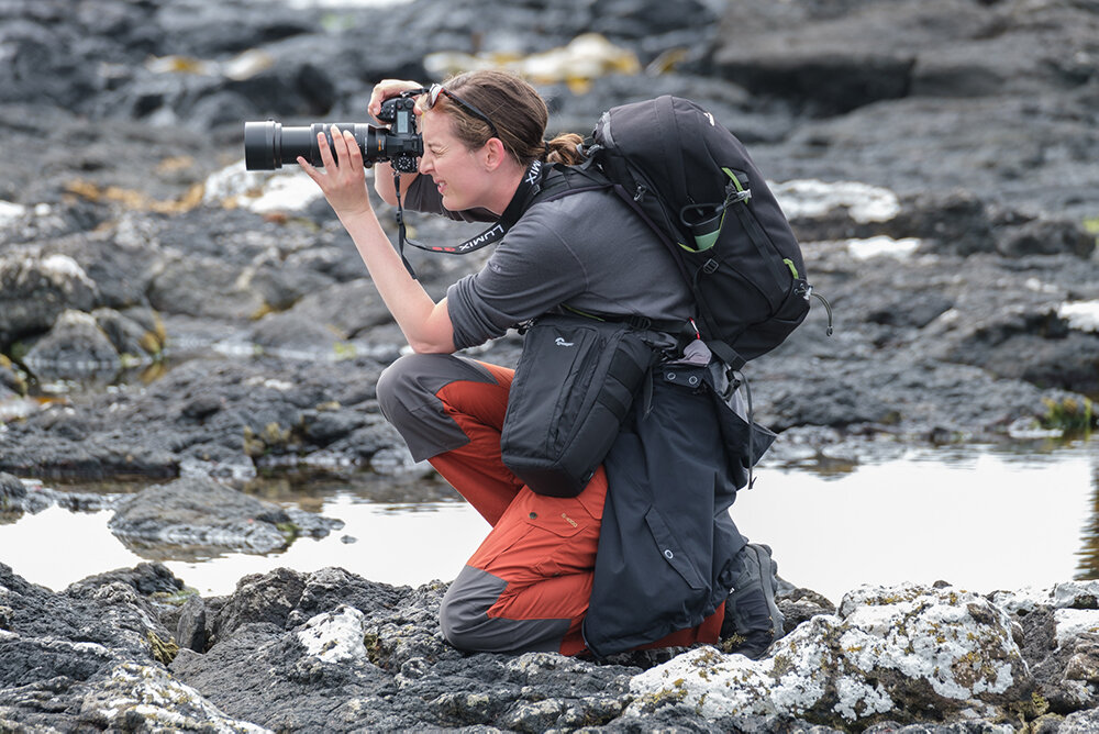 Hannah Shand photographing birds at Enderby Island photo by George Findlay.jpg