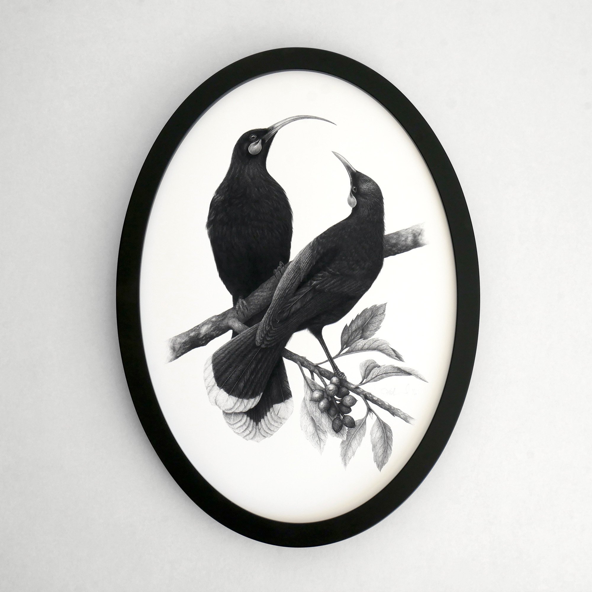 huia artwork A lost Harmony custom made oval frame black.jpg