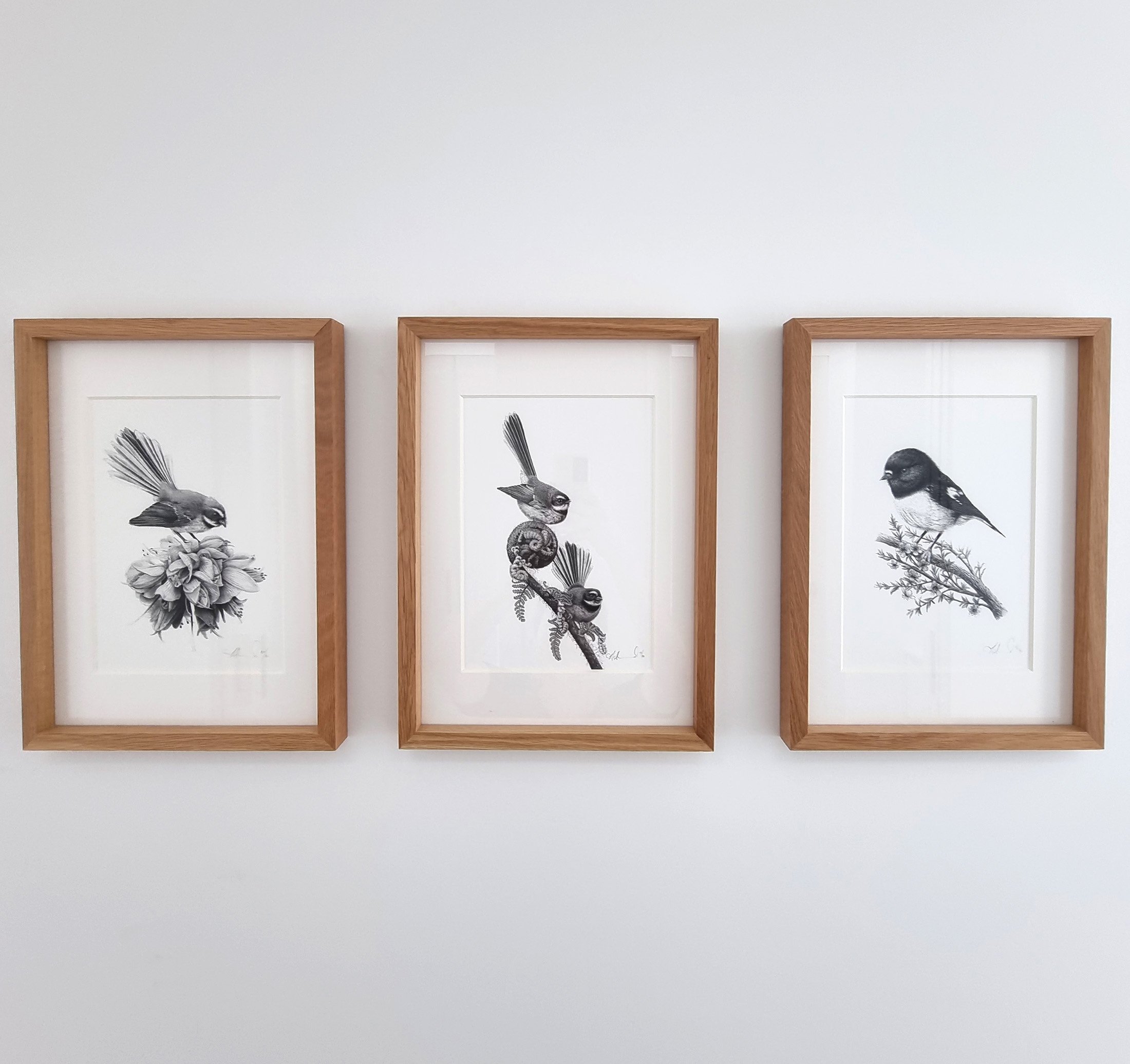 Fantails Piwakawaka tomtit ngirungiru framed artworks Hannah Shand Art.jpg