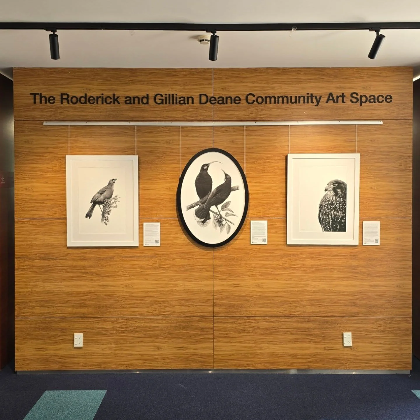 Main wall of my exhibition currently on at the Paraparaumu Library. I'm so happy with how it turned out - I spent a lot of time on planning the layout, framing and all the posters and supporting materials and it feels so great seeing it all together 
