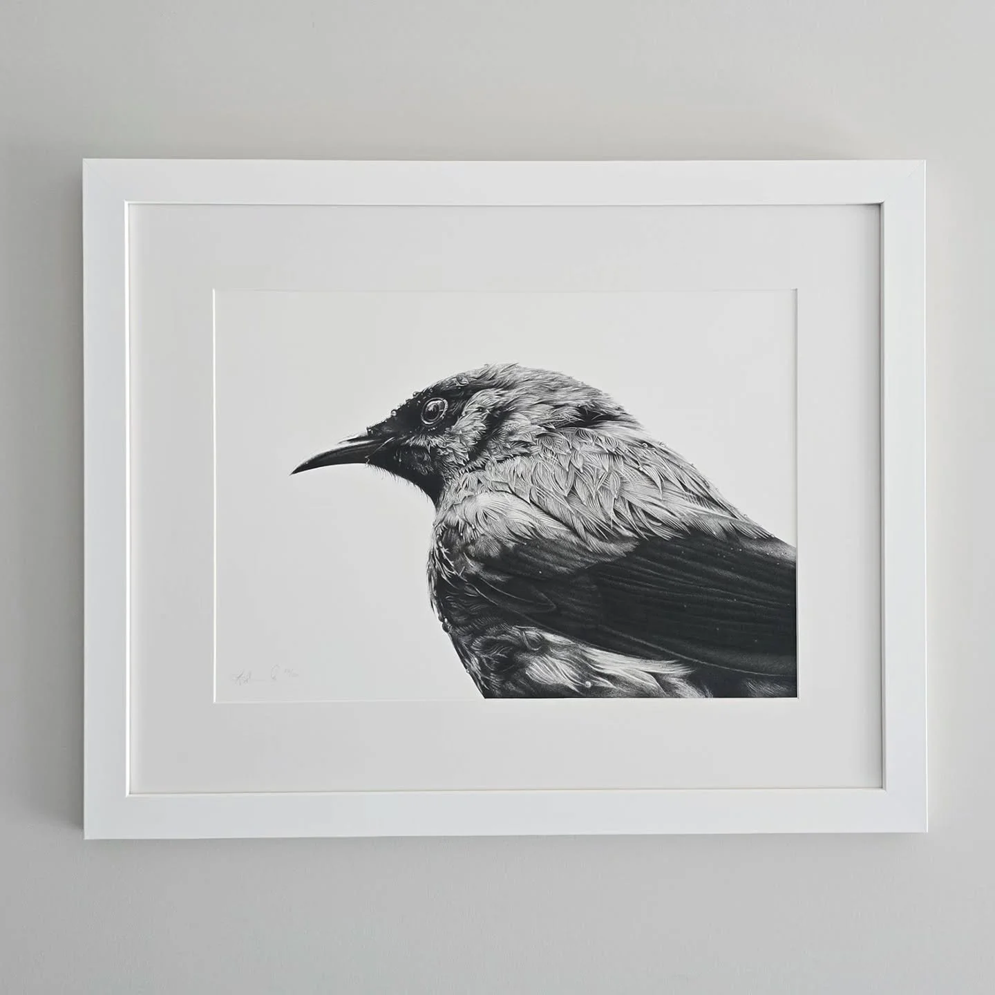 🐦 Framed art available (Kapiti/Wellington) 💚

I have these two framed artworks available - an A3 size Bathing Bellbird ($600) and an A4 size Tiny Tītitipounamu ($380) - both professionally framed with UV70 glass. These can be picked up from the Kap