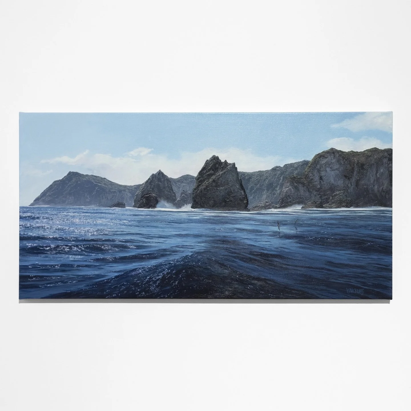 Wayne Vickers - Untamed - Snare Island impressions, 2026