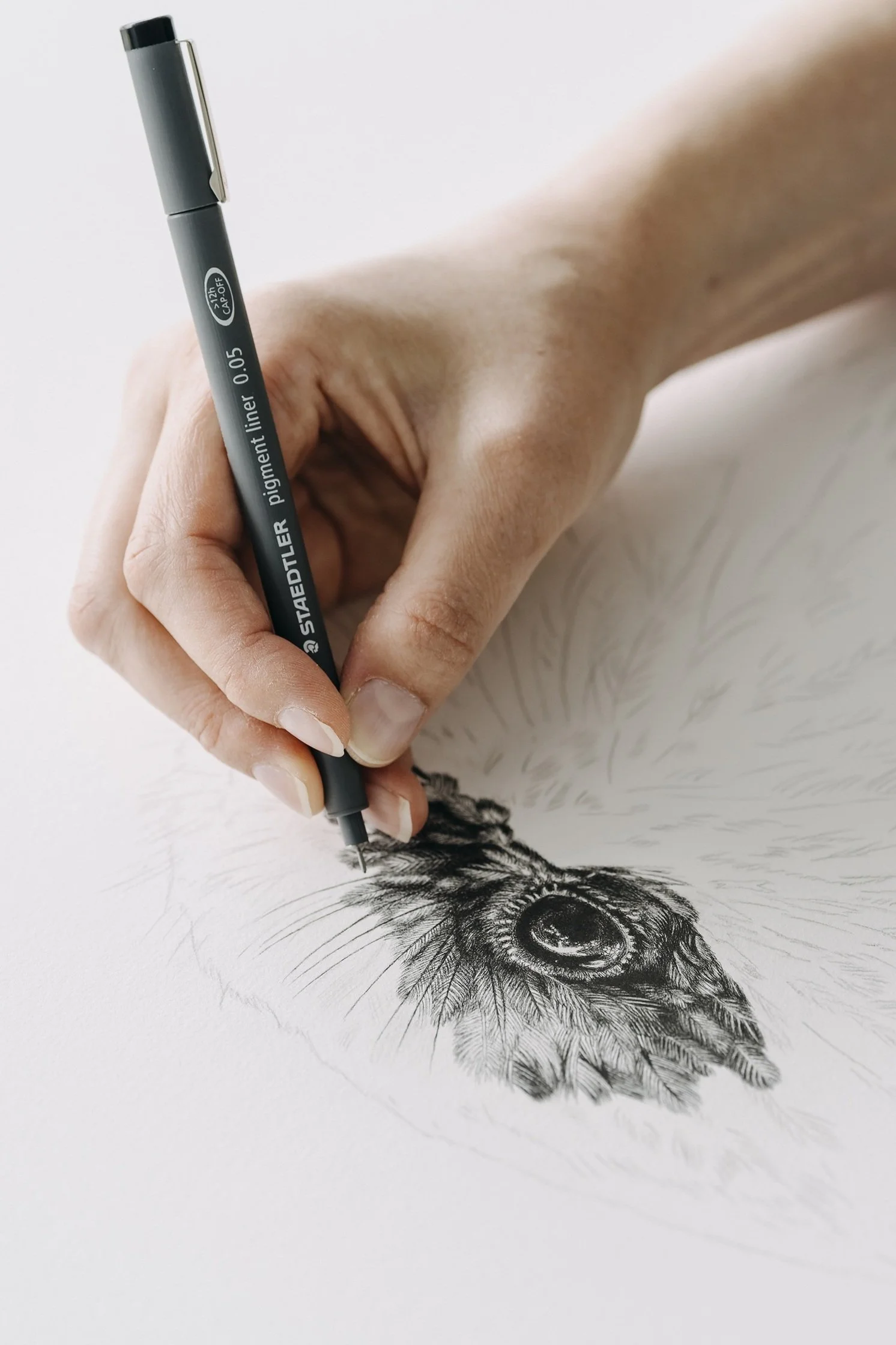 Hannah Shand Art Kakapo artwork drawing face.jpg