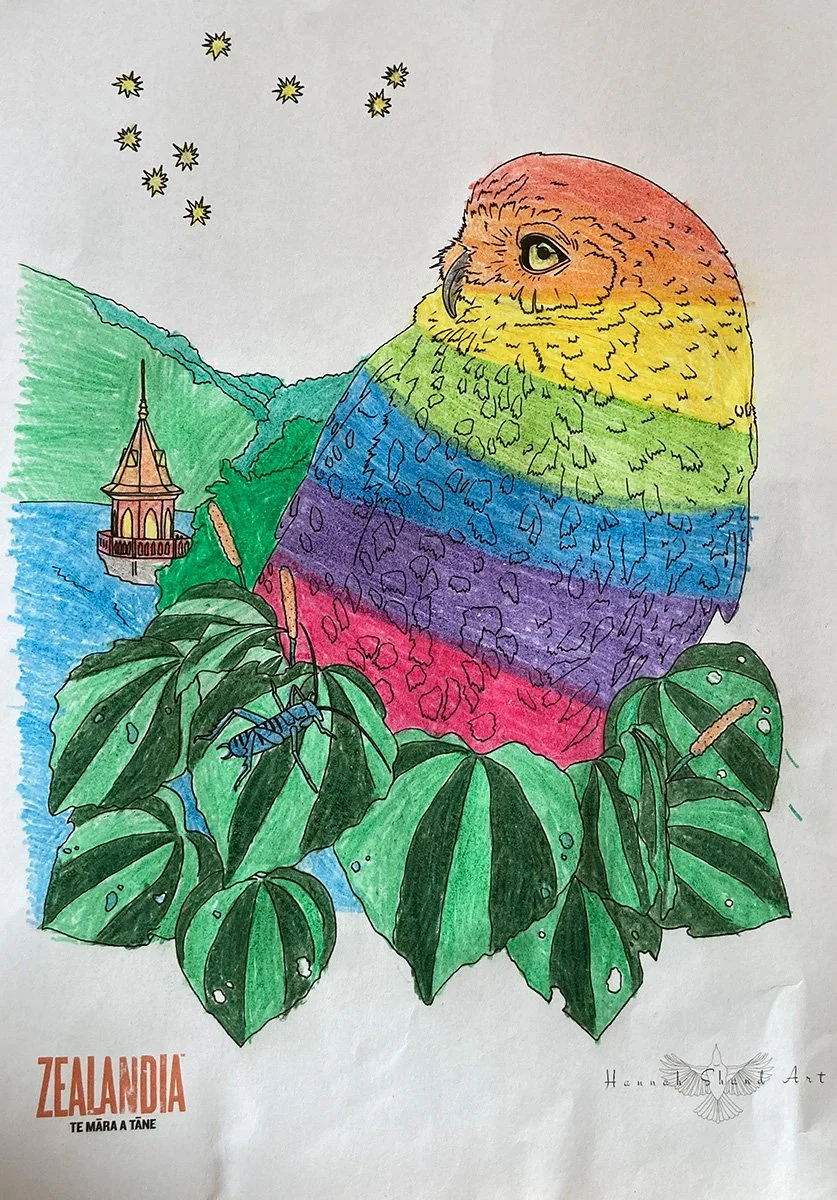 Matariki (ruru/morepork) colouring competition winners announced ...