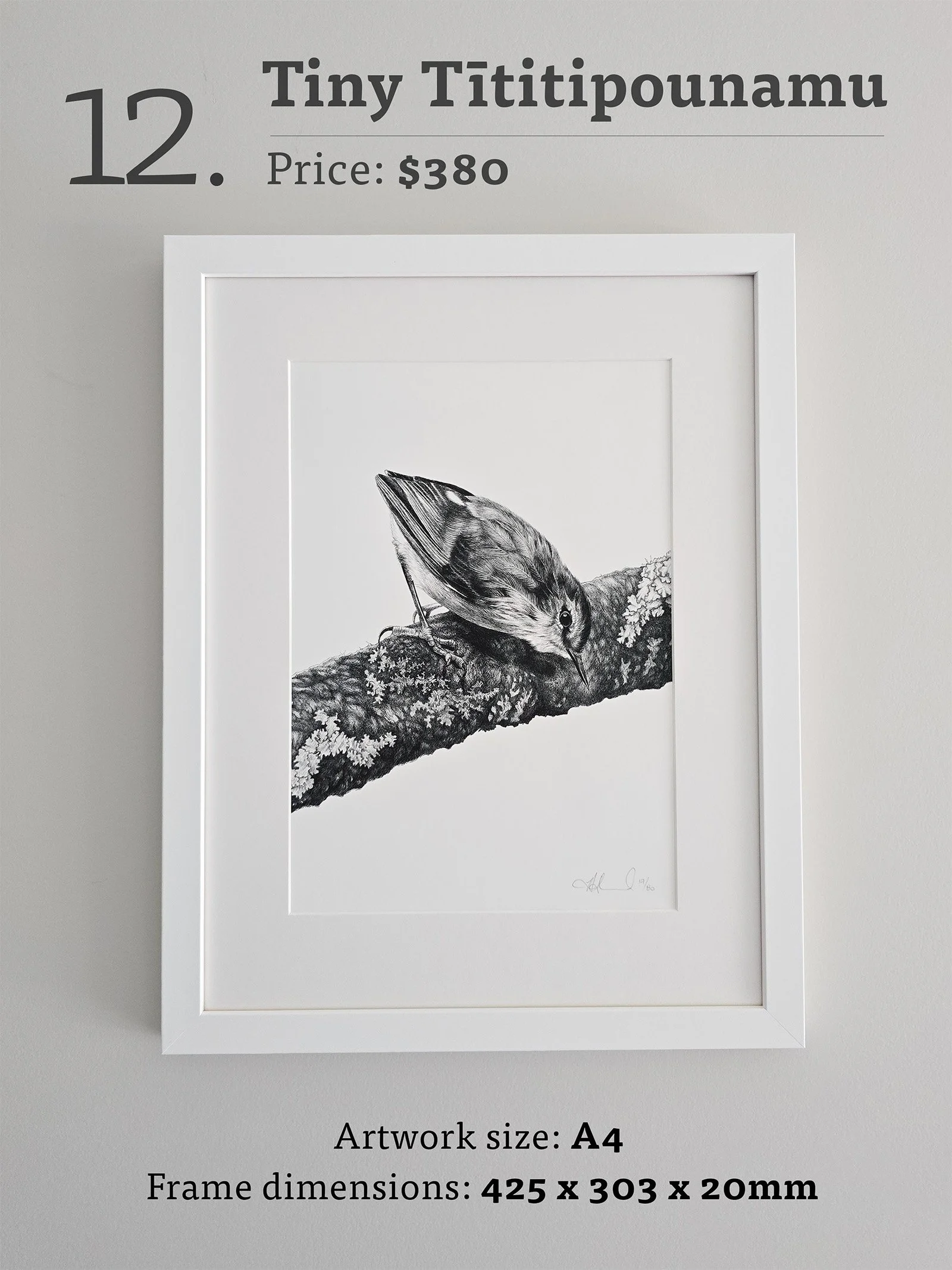 Tiny Titipounamu with text.jpg