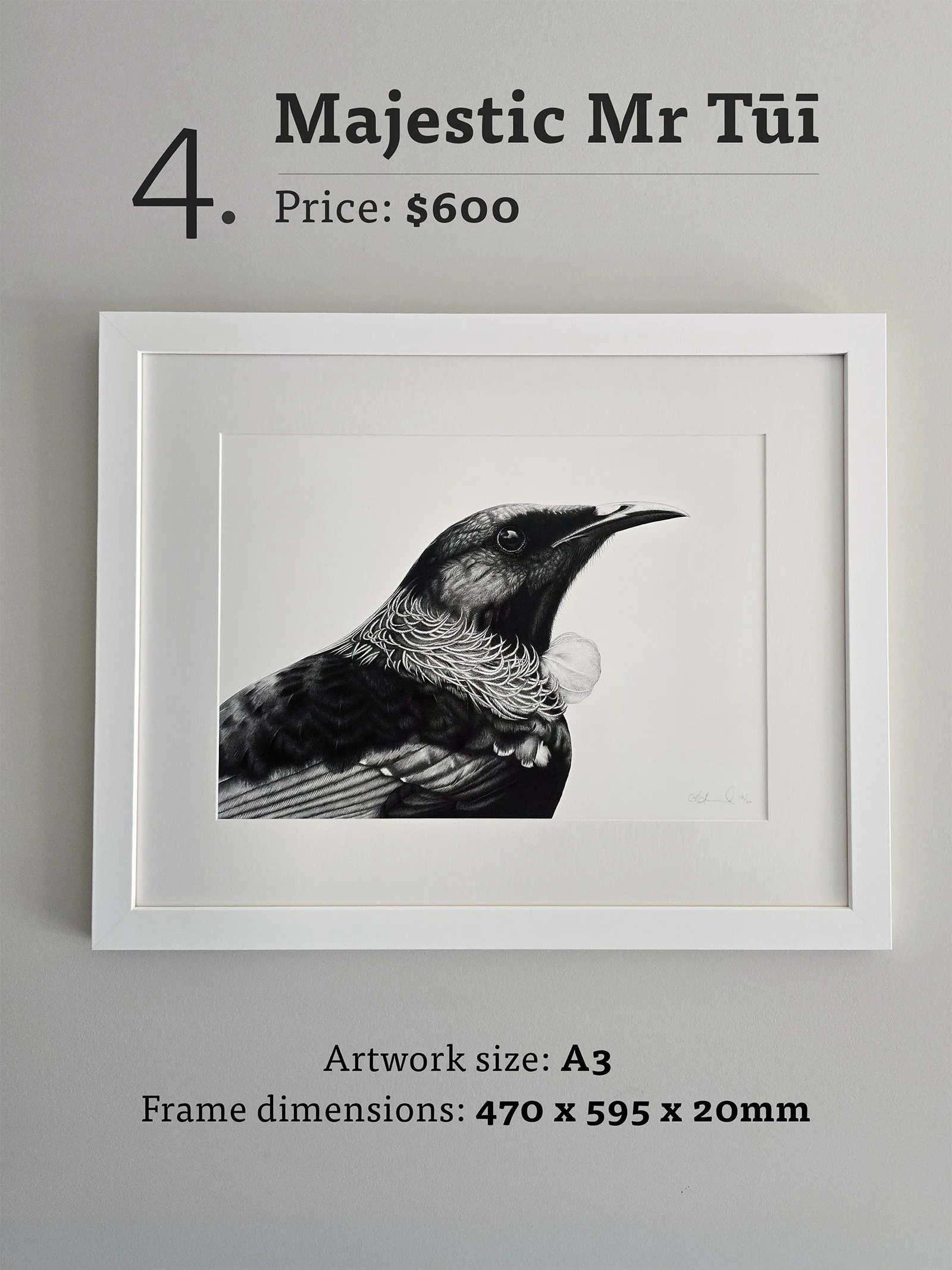 Majestic Mr Tui with text.jpg