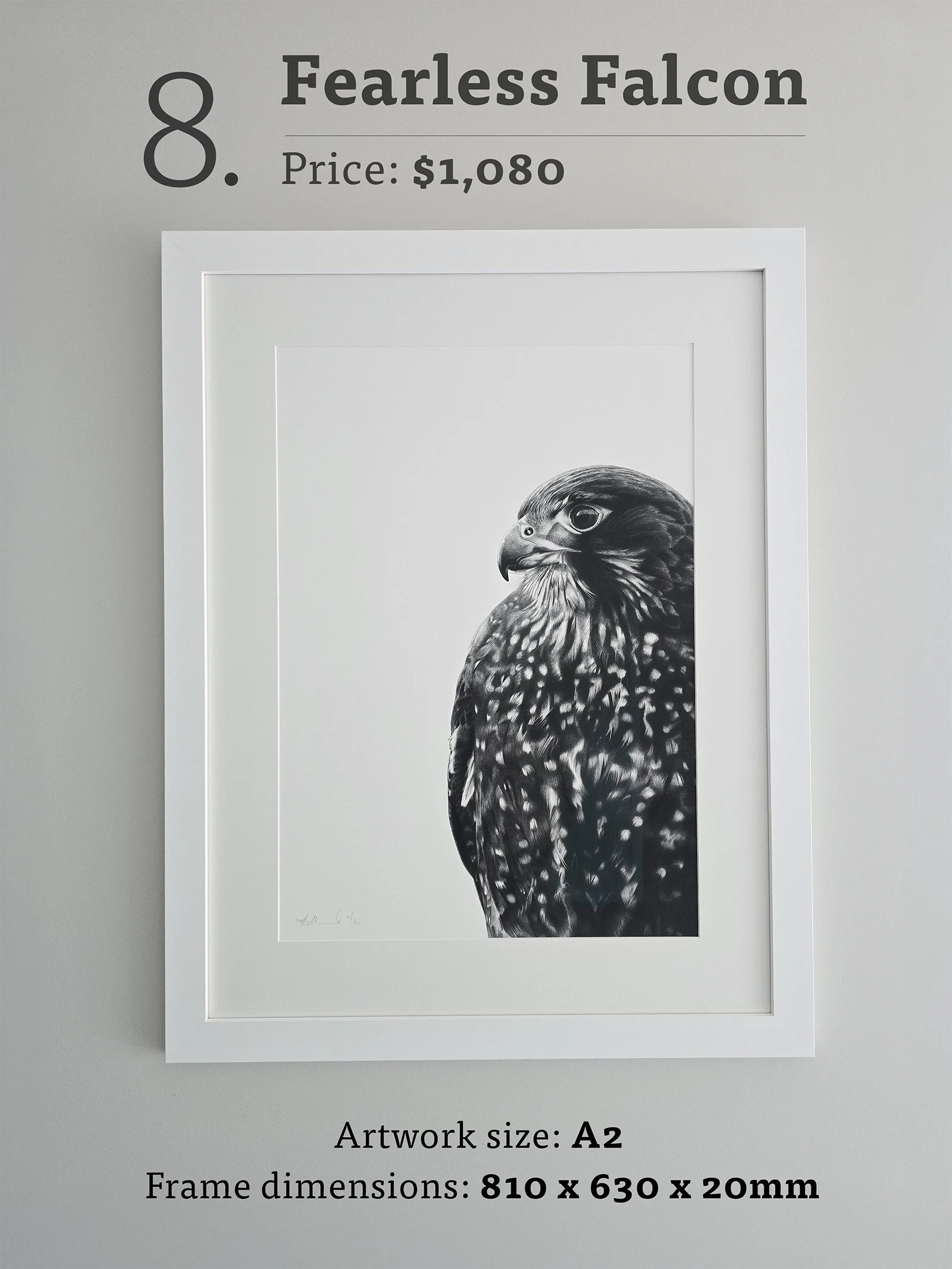 Fearless Falcon with text.jpg