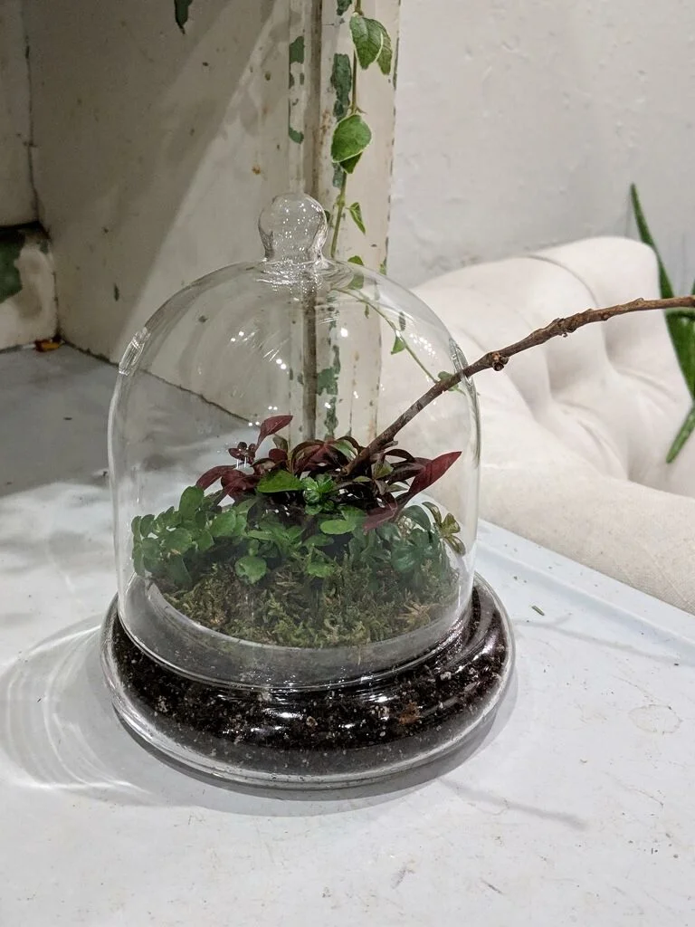 Children’s Mini-Garden Terrarium Project