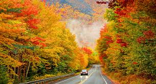 Autumn DriveAbout