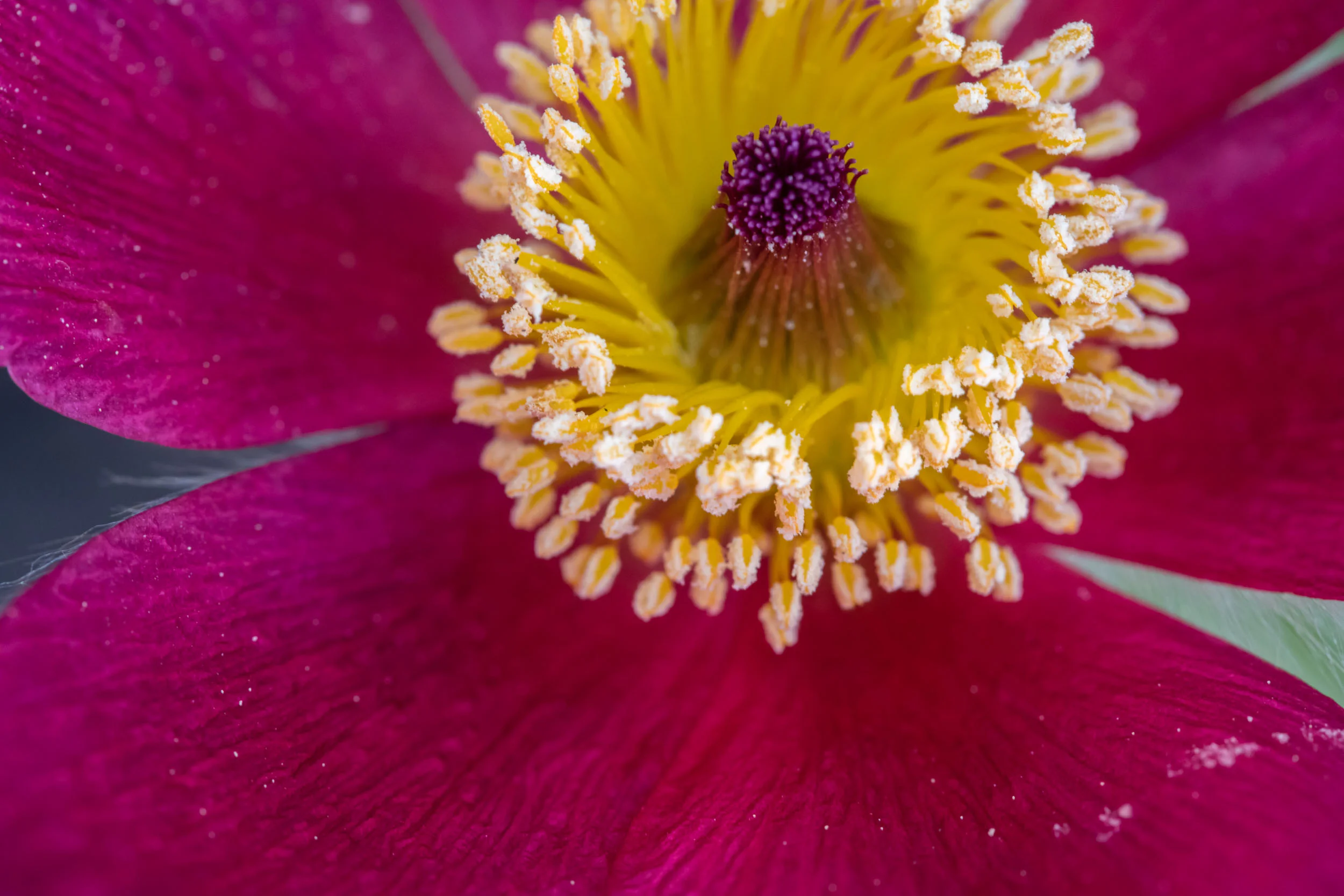 untitled-60.jpg