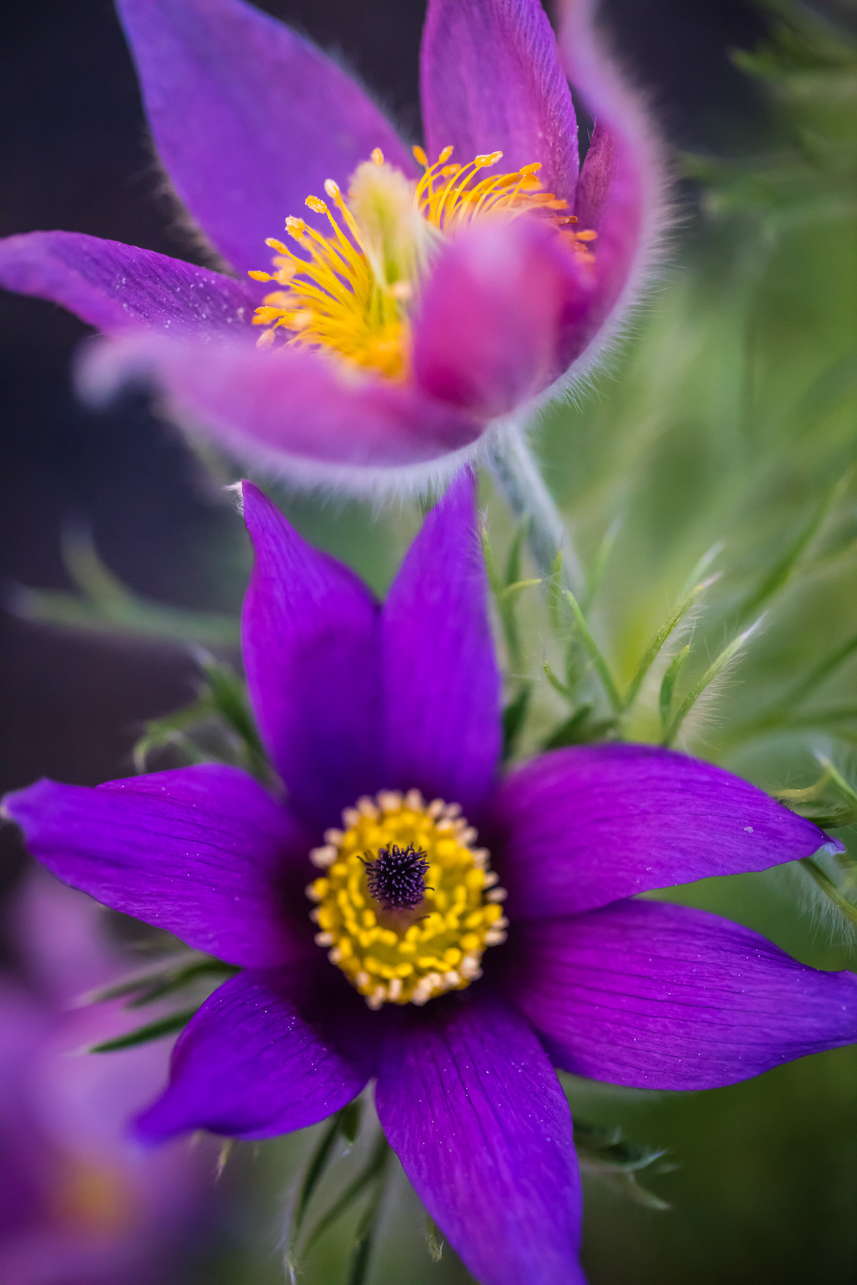 untitled-88-2.jpg
