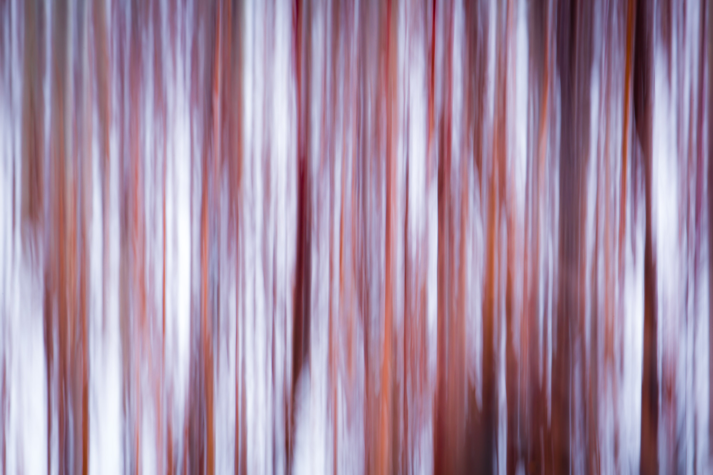 Elk Island Mar 2015-135.jpg