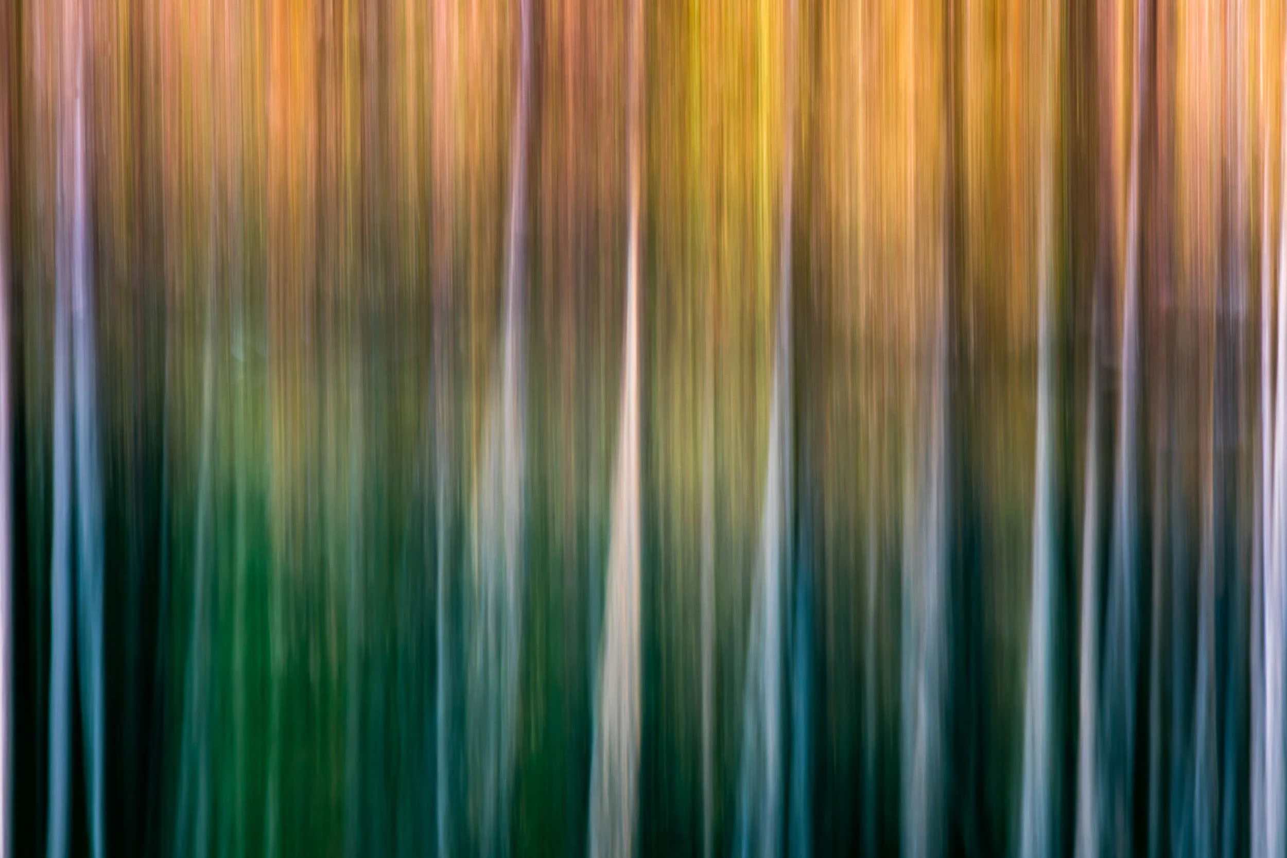 untitled-47.jpg