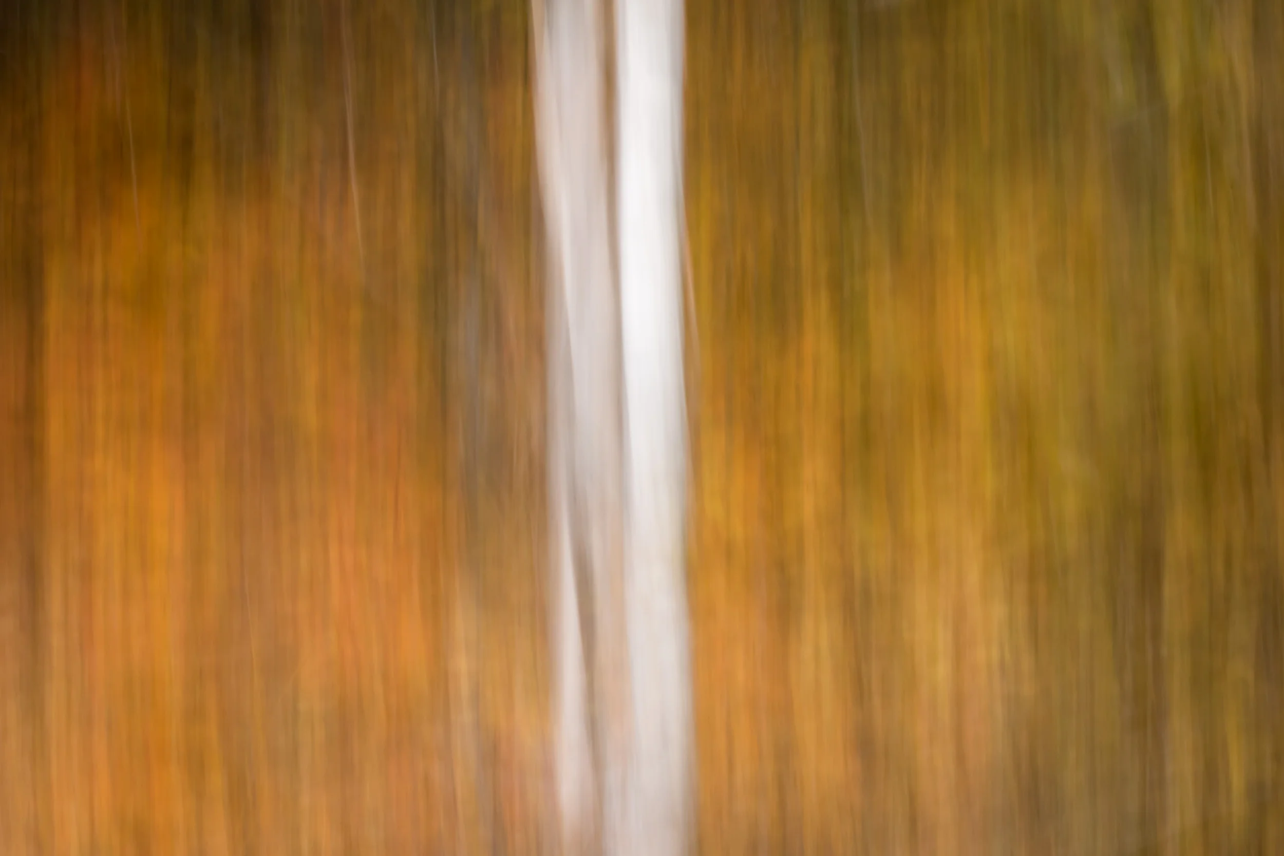 untitled-49-3.jpg
