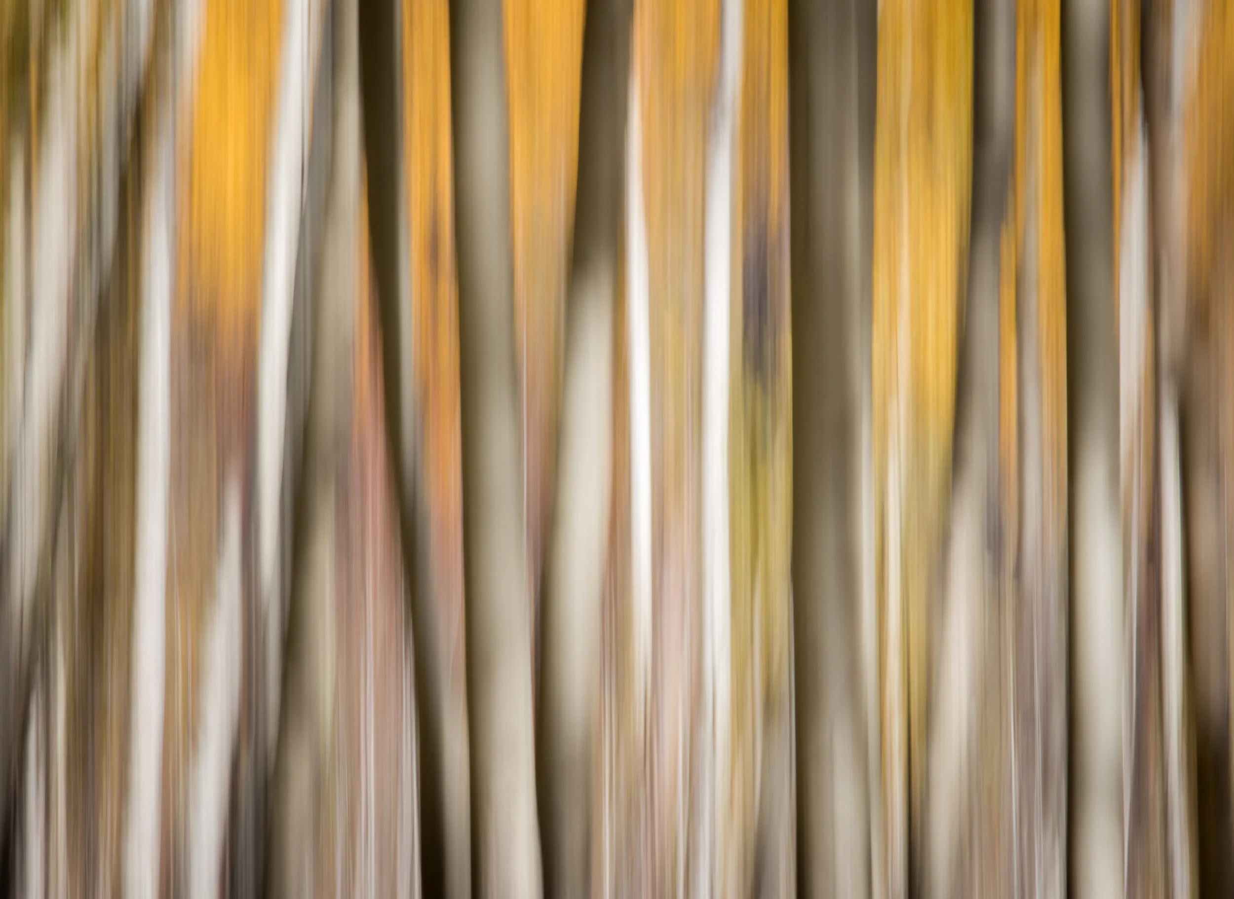 untitled-133.jpg
