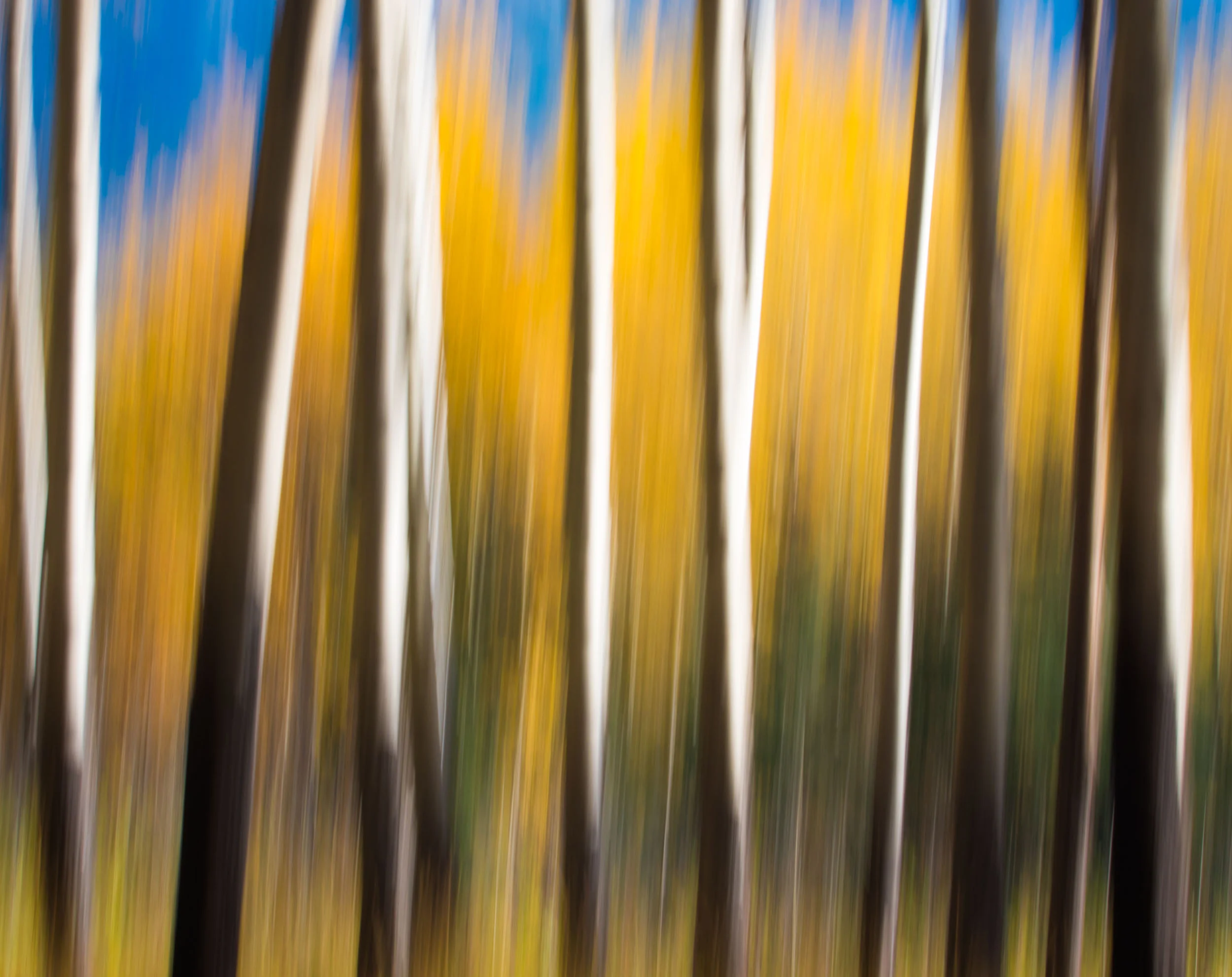 untitled-141.jpg