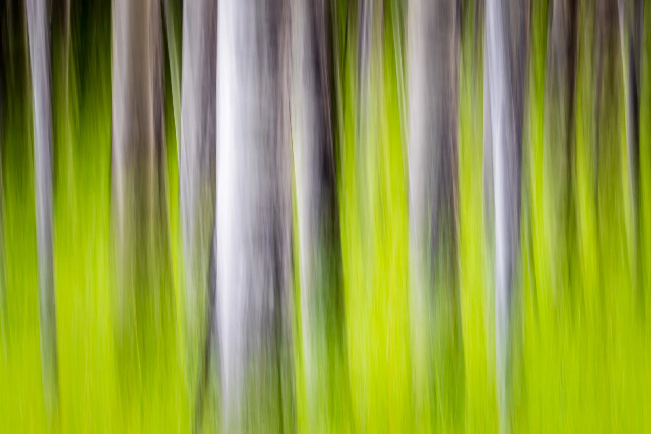 untitled-146.jpg