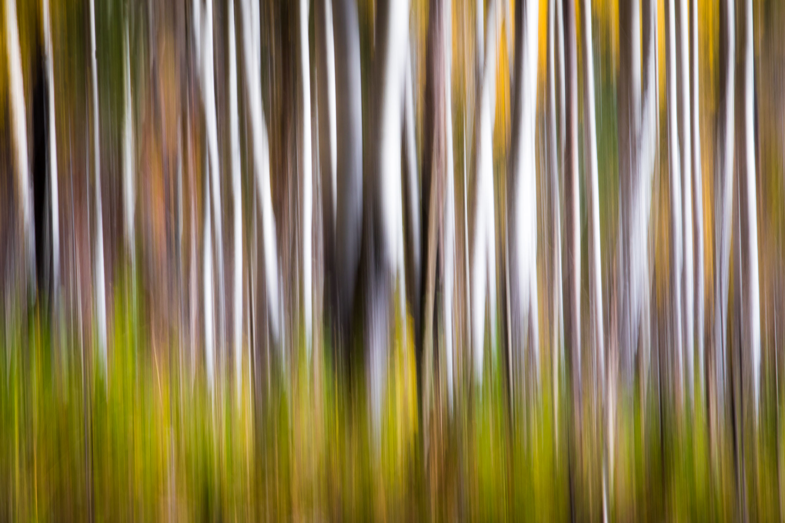 untitled-187.jpg