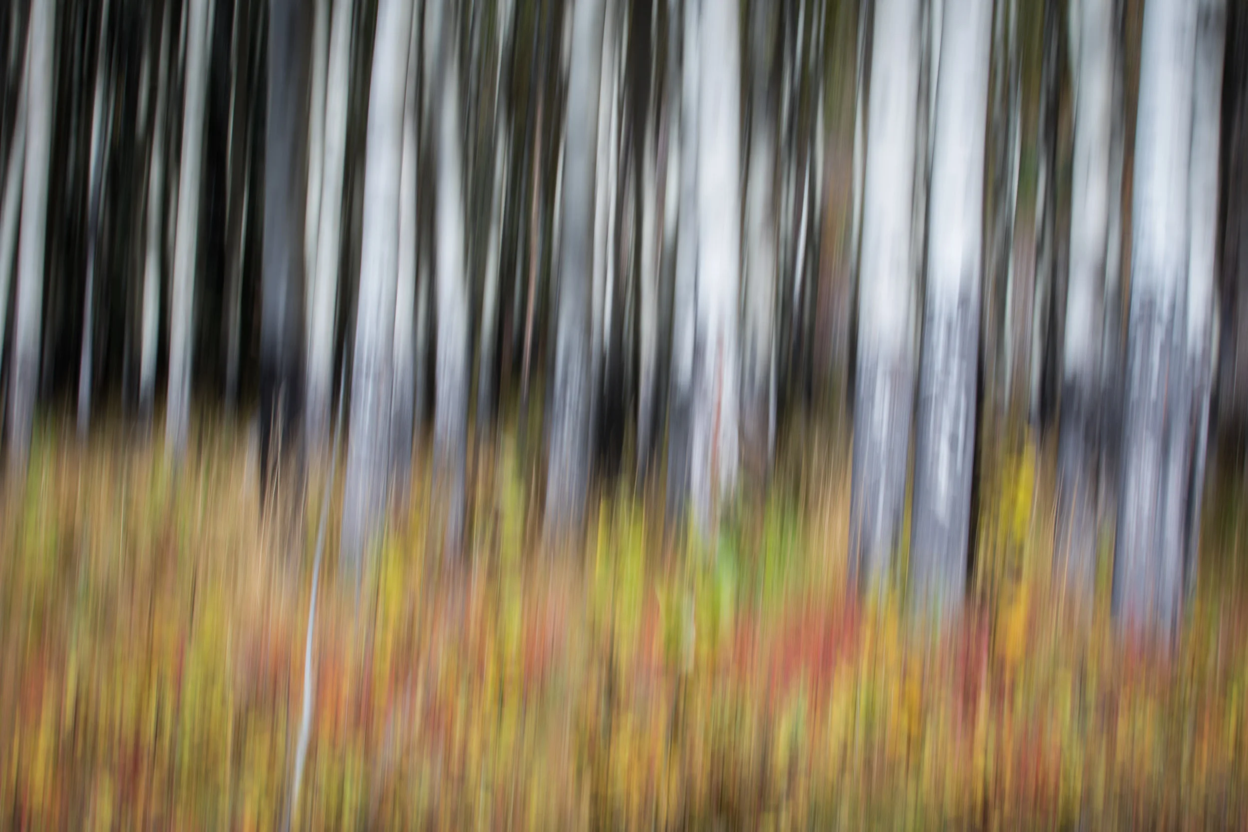 untitled-200.jpg
