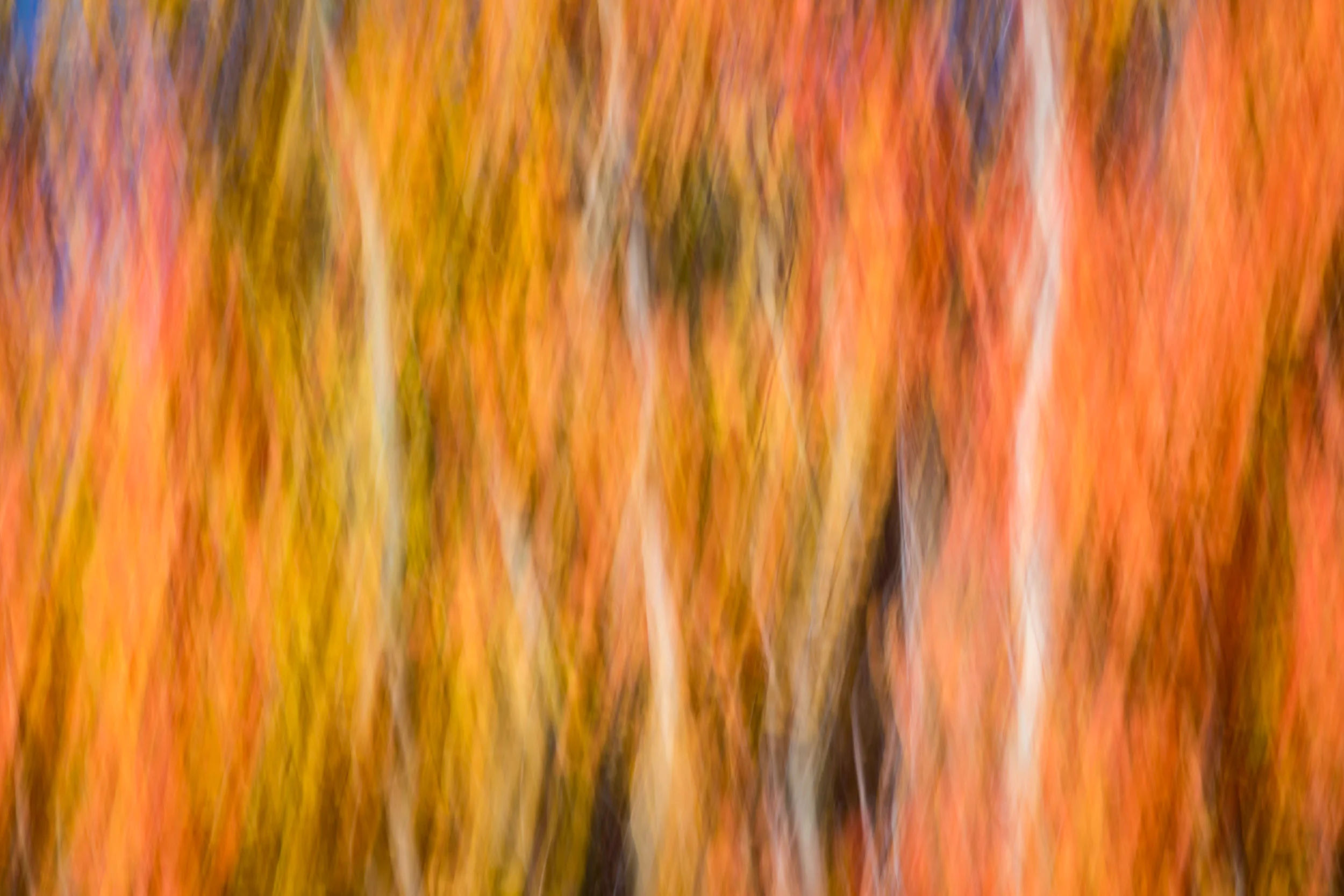 untitled-295.jpg