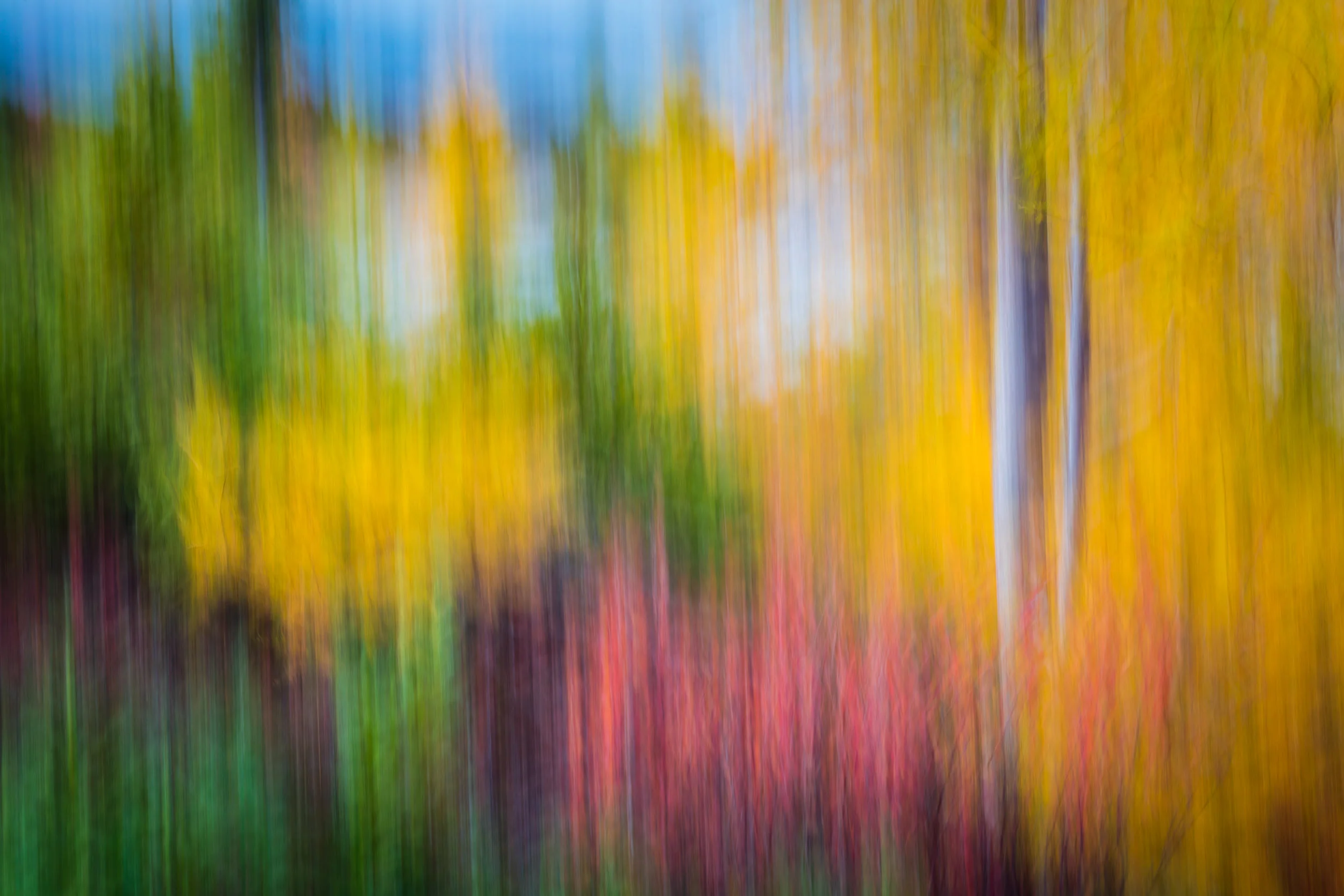 untitled-345.jpg