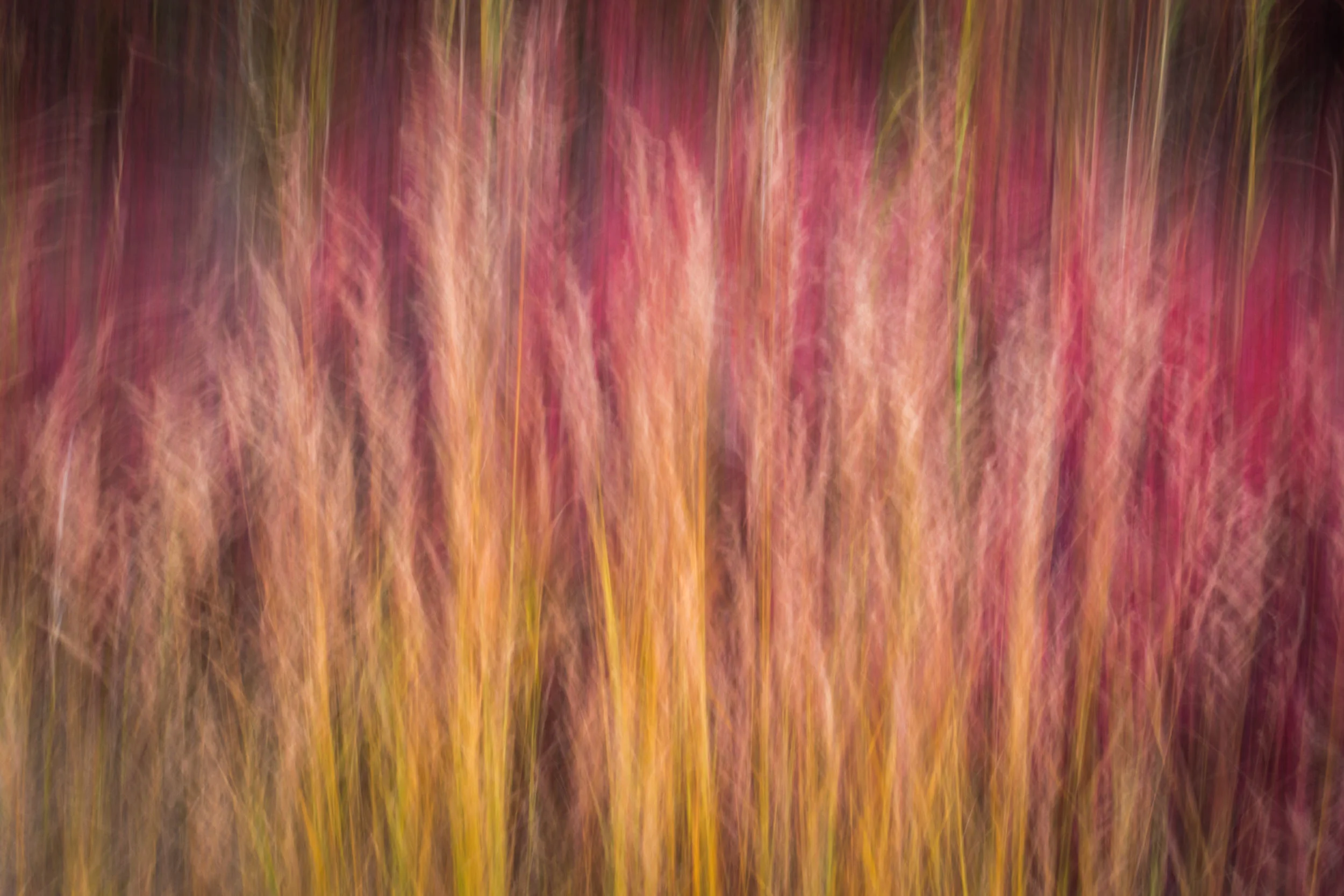 untitled-594.jpg