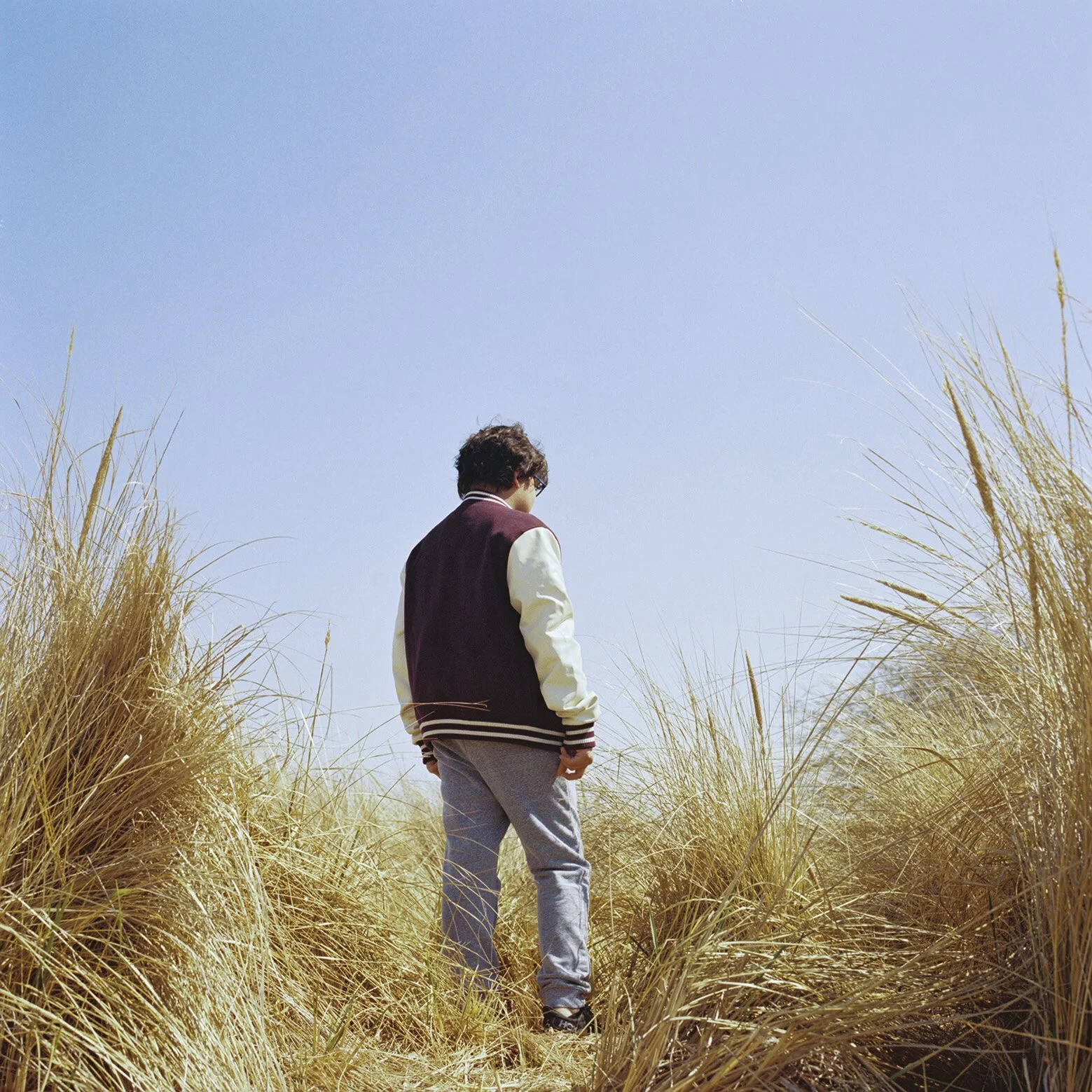 The blue, shimmers.jpg