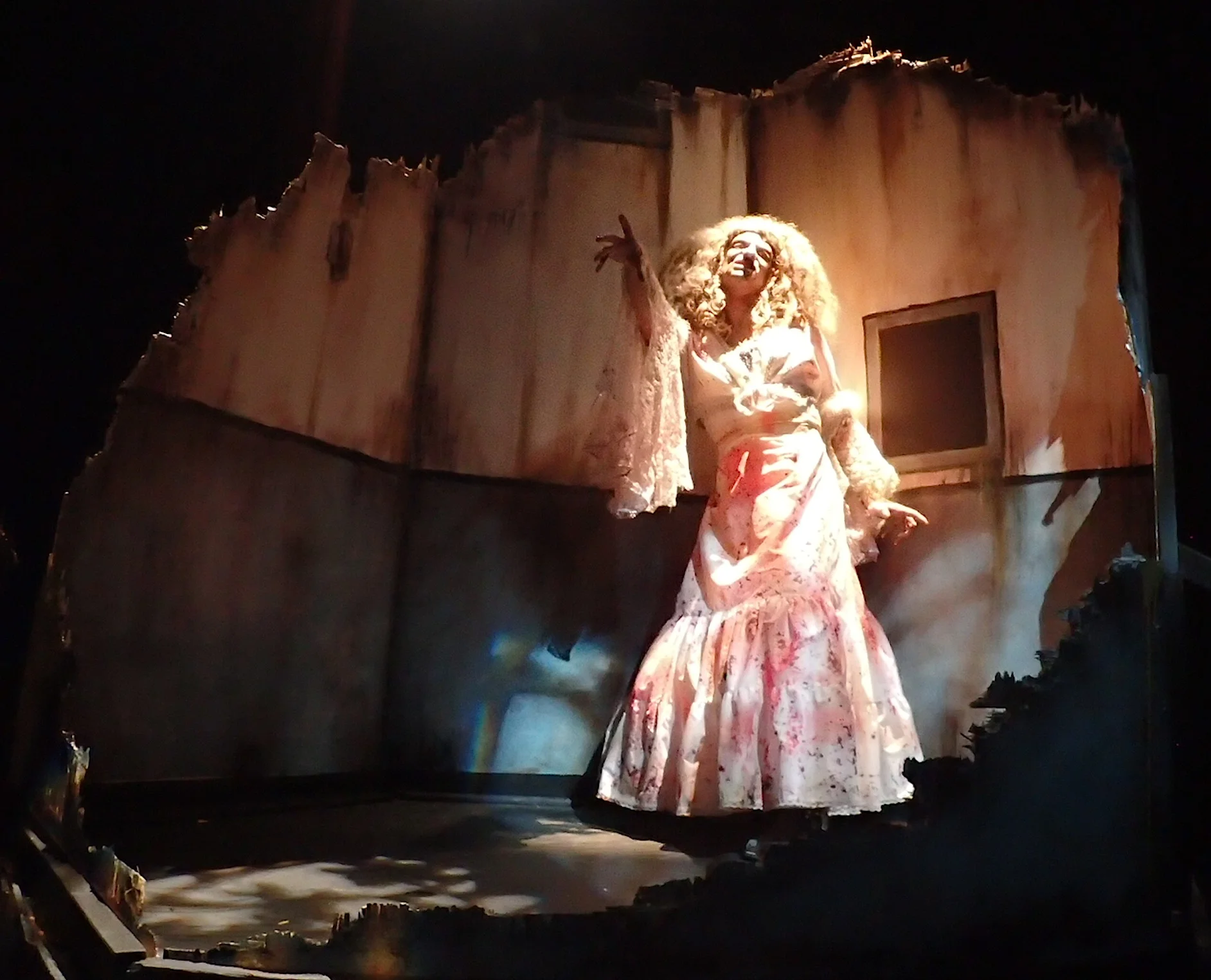  DAVID FLOWER PRODUCTIONS 