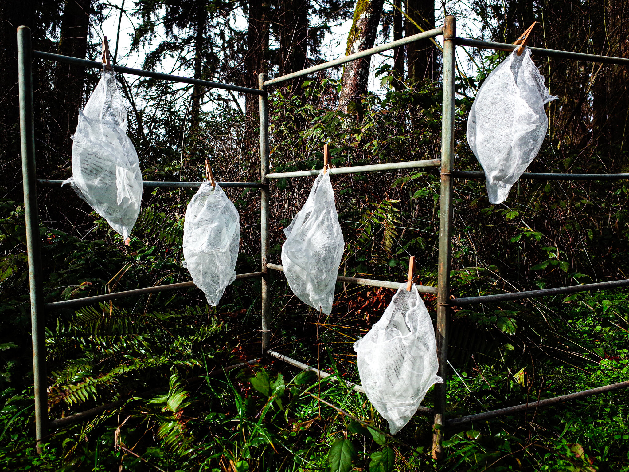 In Situ: Memories Hanging out to Dry