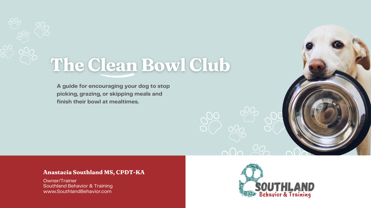 Clean Bowl Club: Teaching Your Picky Dog to Eat Meals