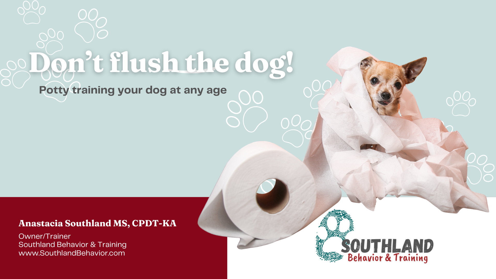 Don't Flush the Dog: House Training at Any Age