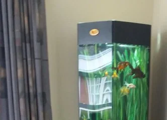 Teviot Valley Rest Home Aquarium